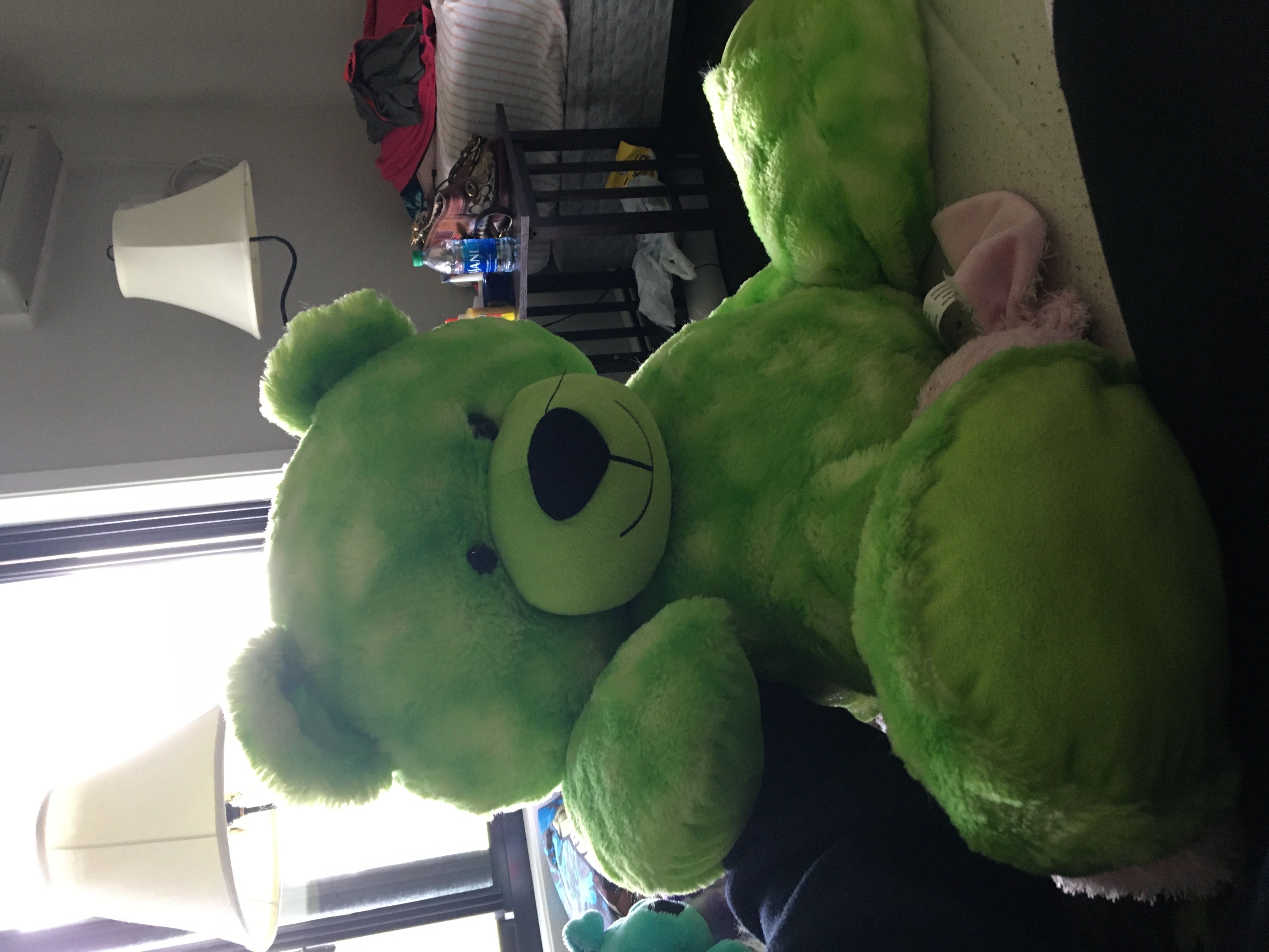 Boo The World’s Cutest Dog Leopard Sweater 