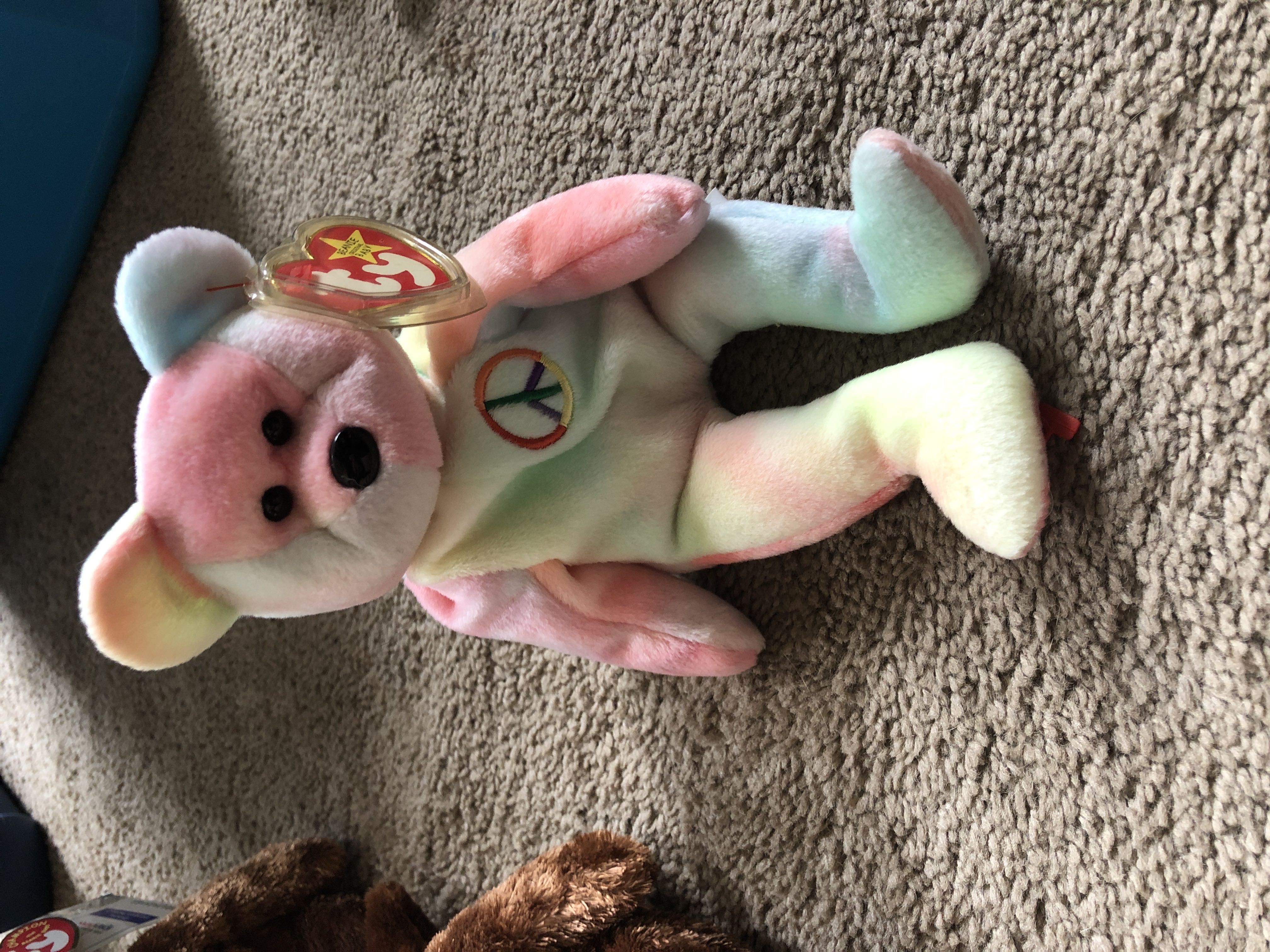 Abigail Rose Primsley