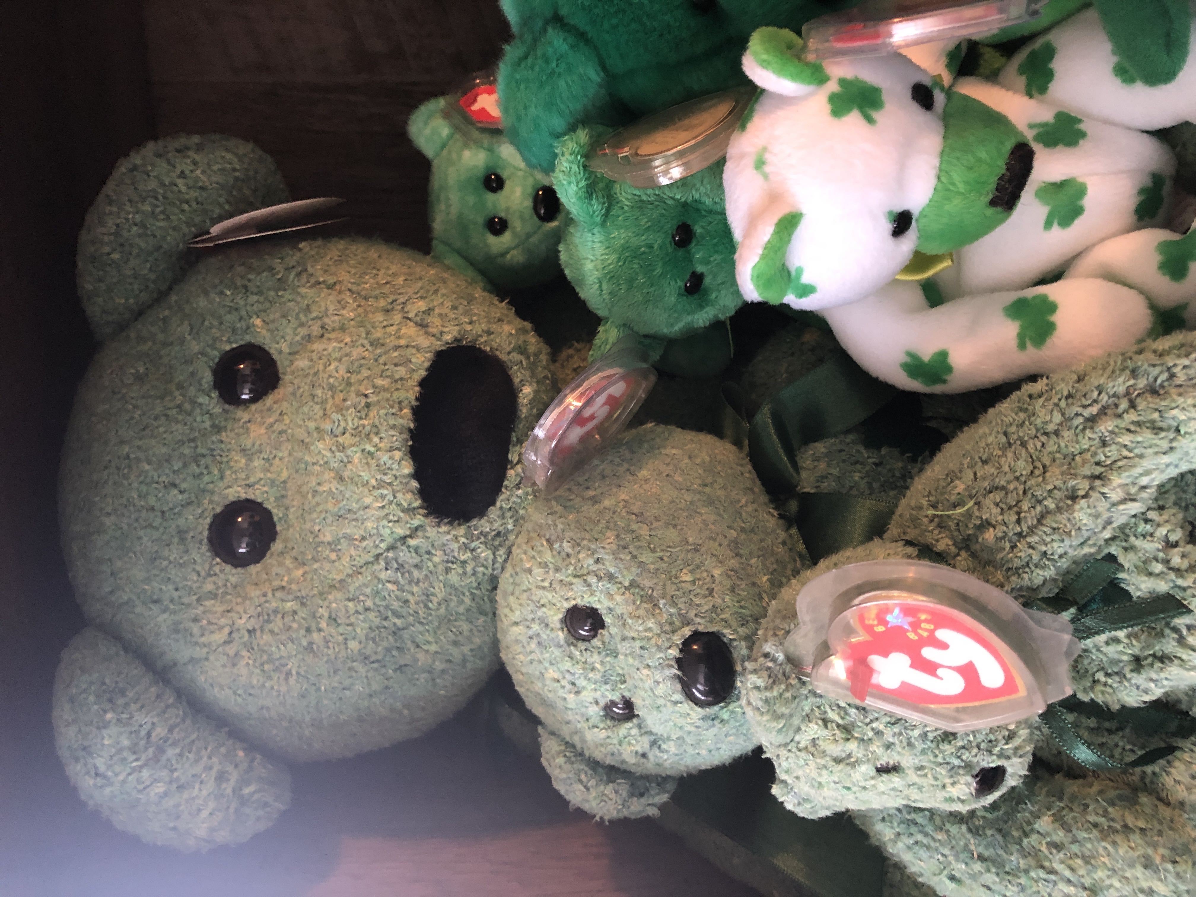 Hoot Gray Owl 16” Squishmallow