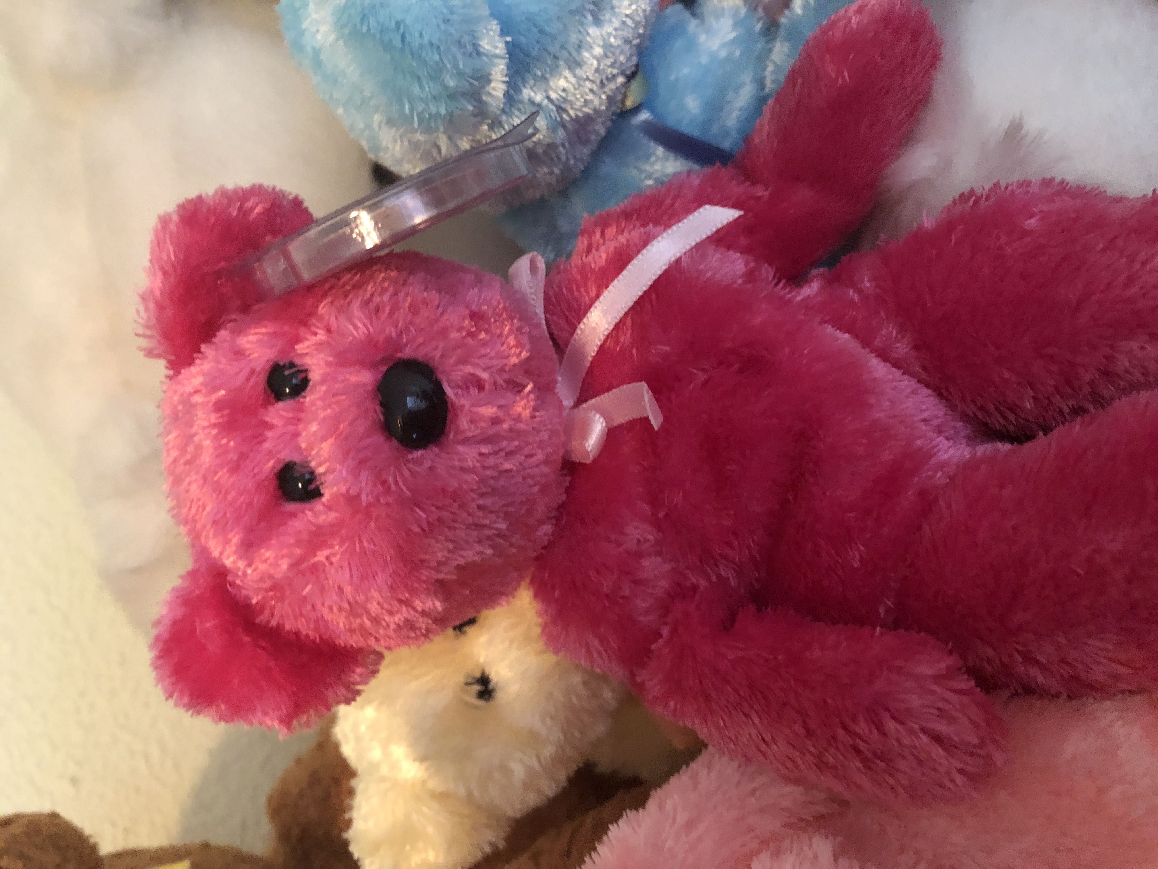 Sherbet The Bear (Dark Pink)