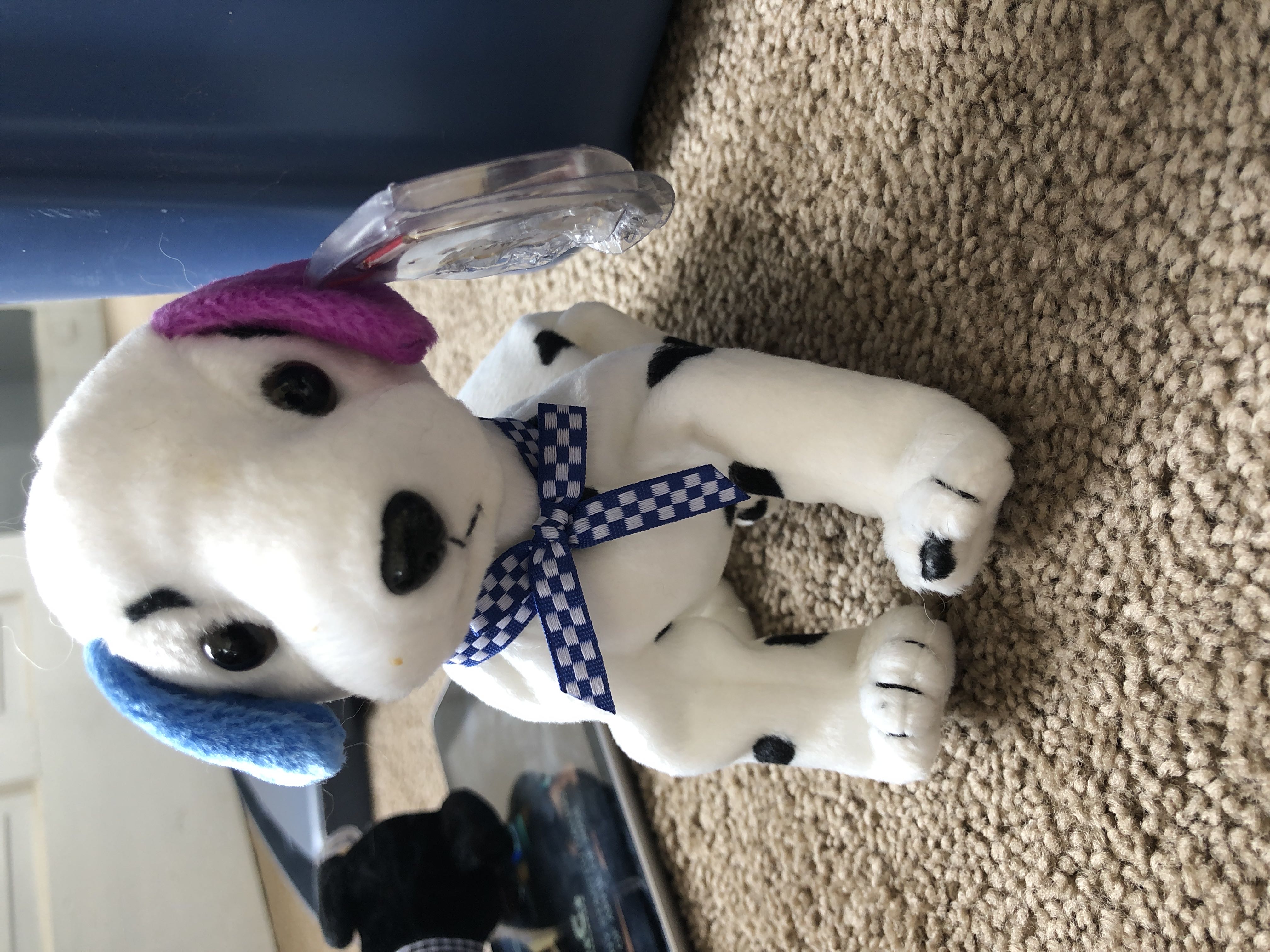 Dizzy The Dalmatian (Colorful Ears, Black Spots)
