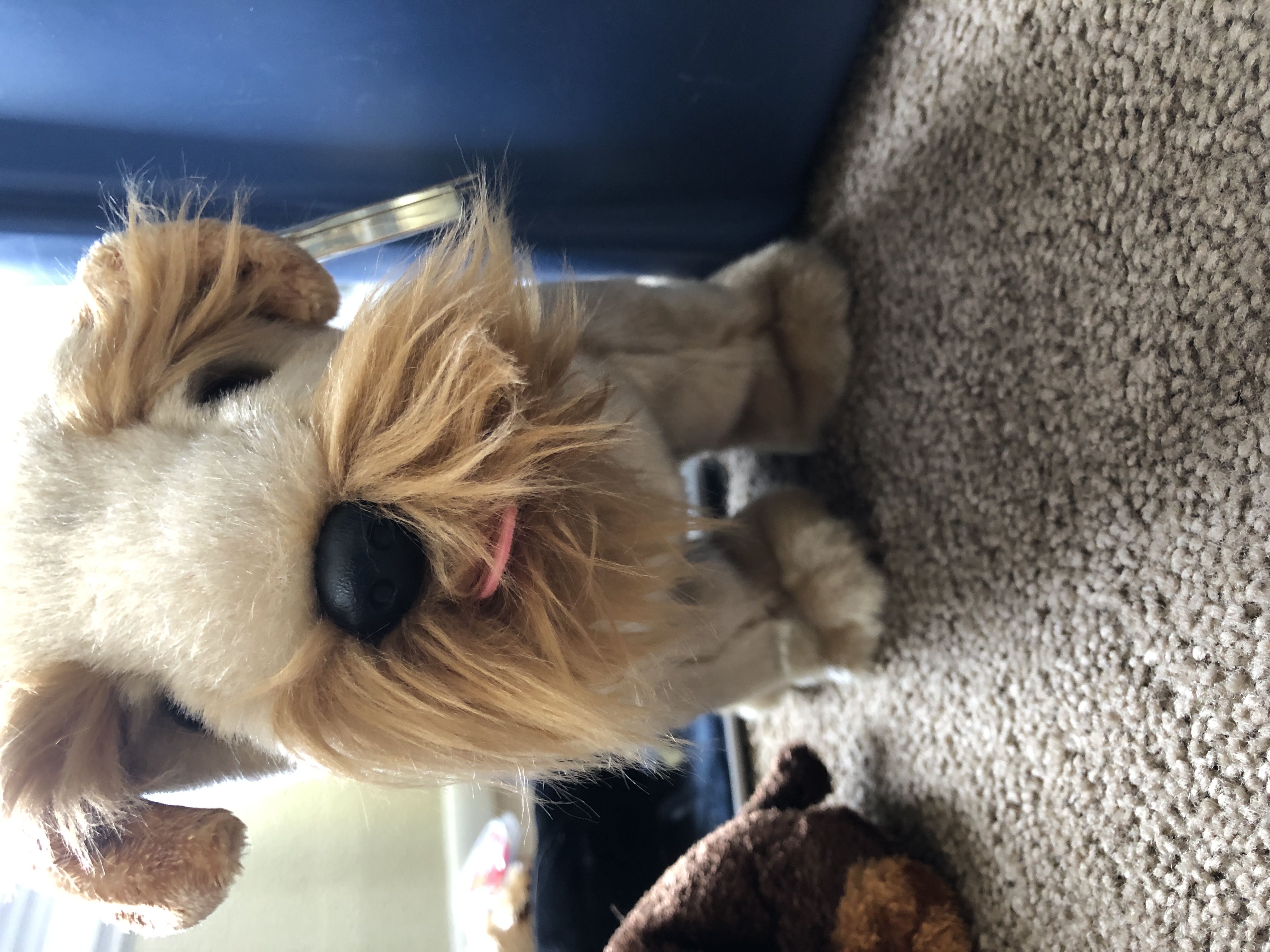 Ty Hello Kitty (heart glasses)