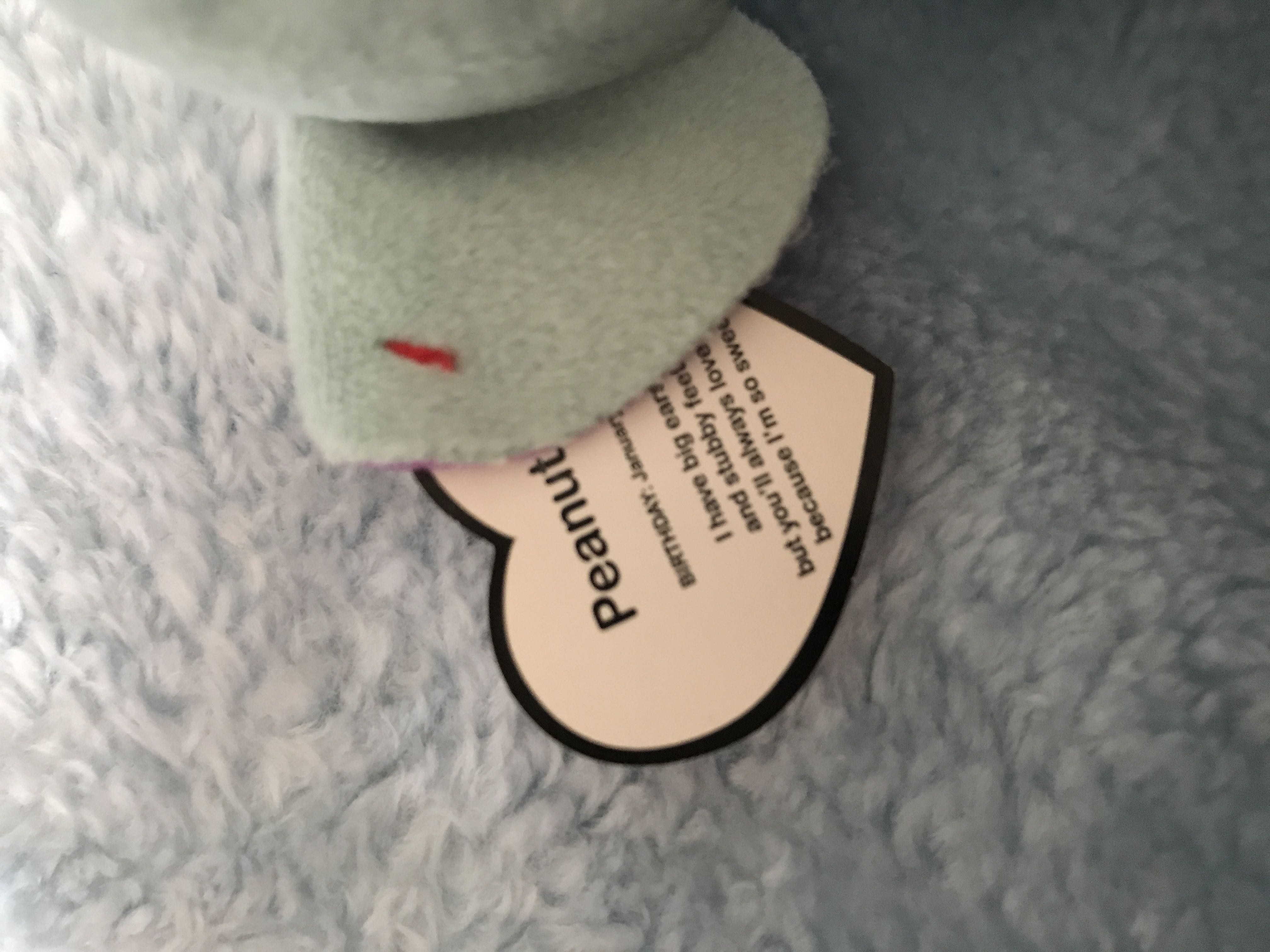 Peanut - TY Beanie Boos  plush collectible - Main Image 4