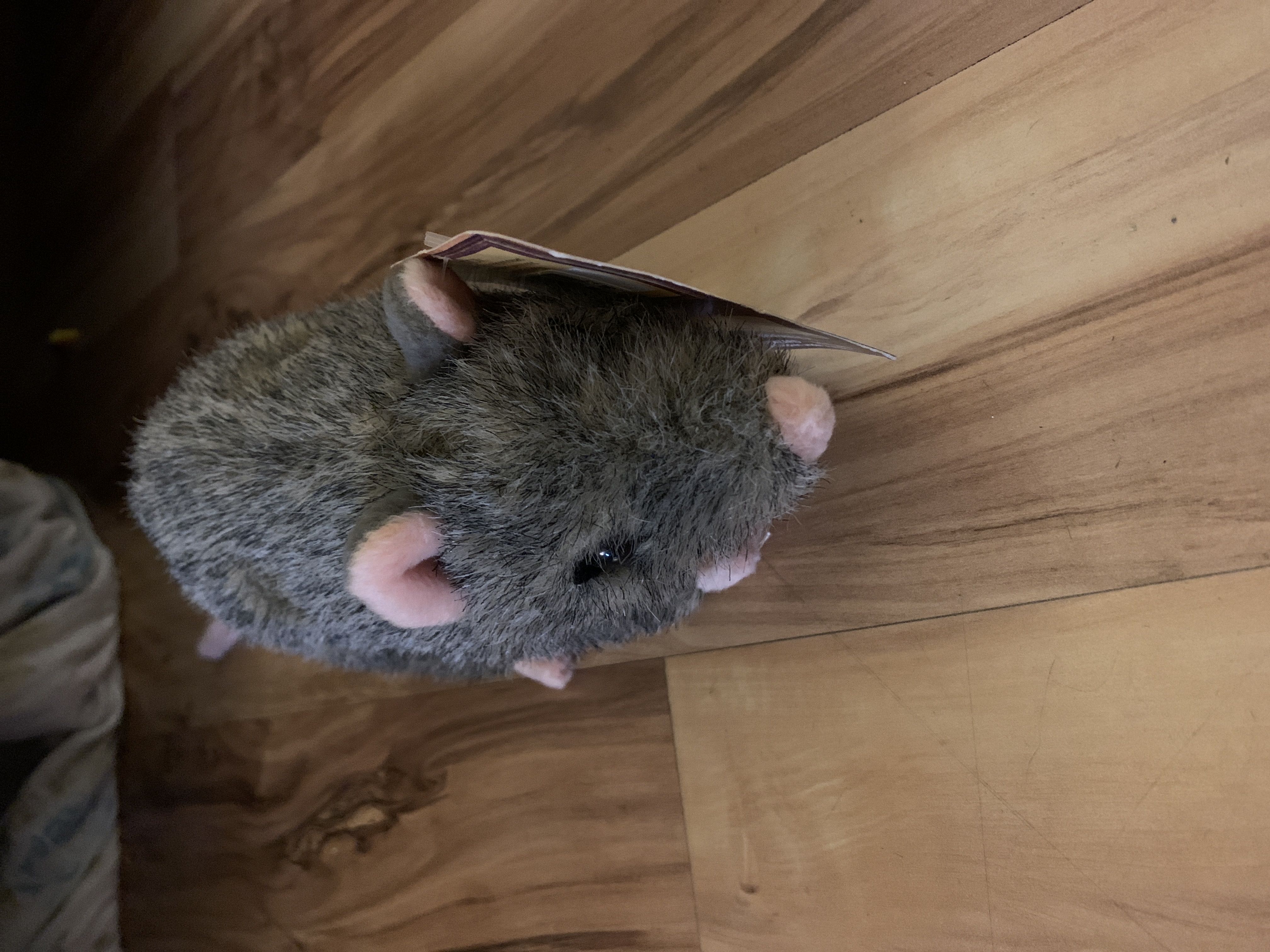 Pusheen Snackables Birthday Cupcake