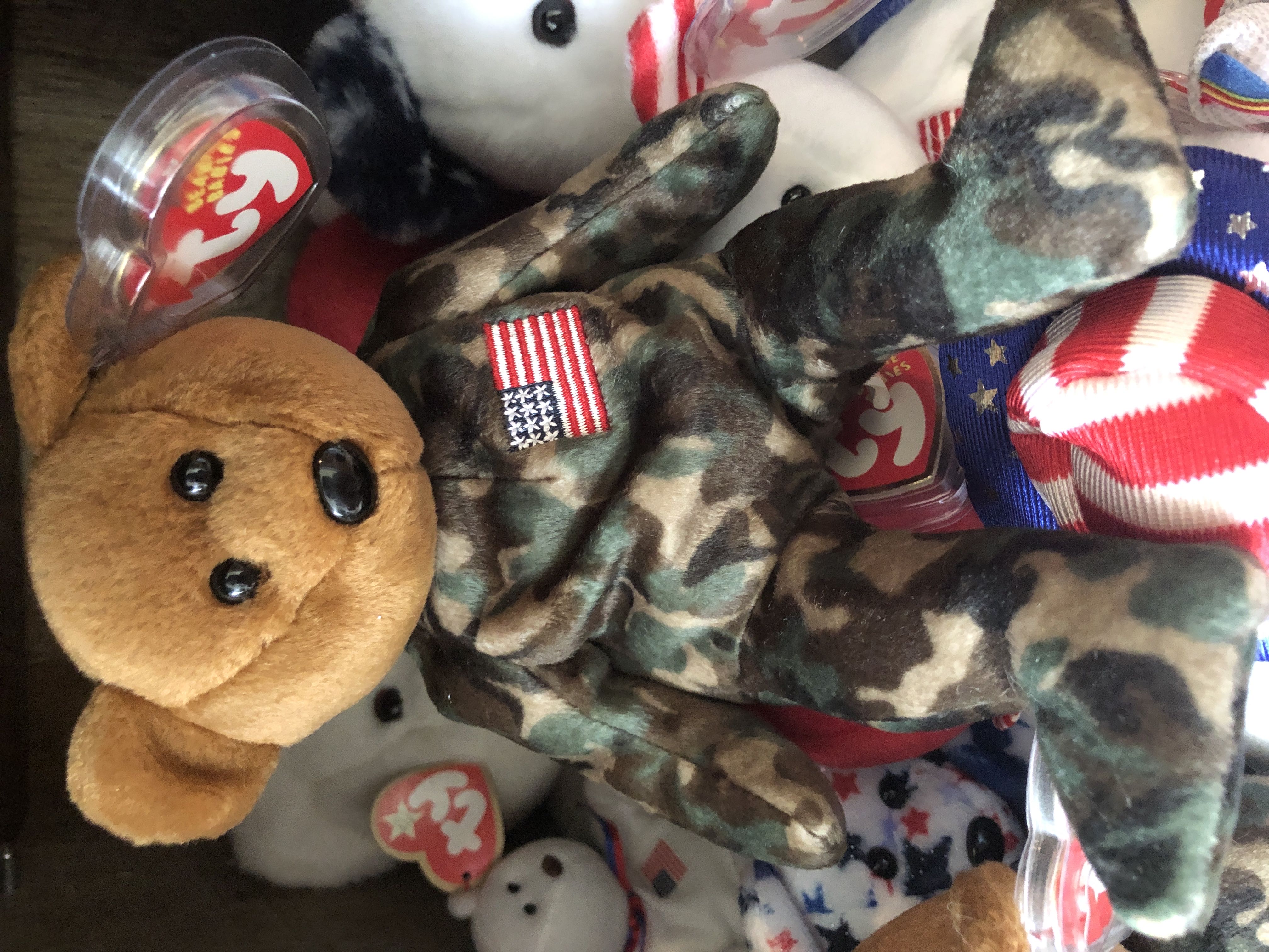 Hero The Bear Flag On Chest
