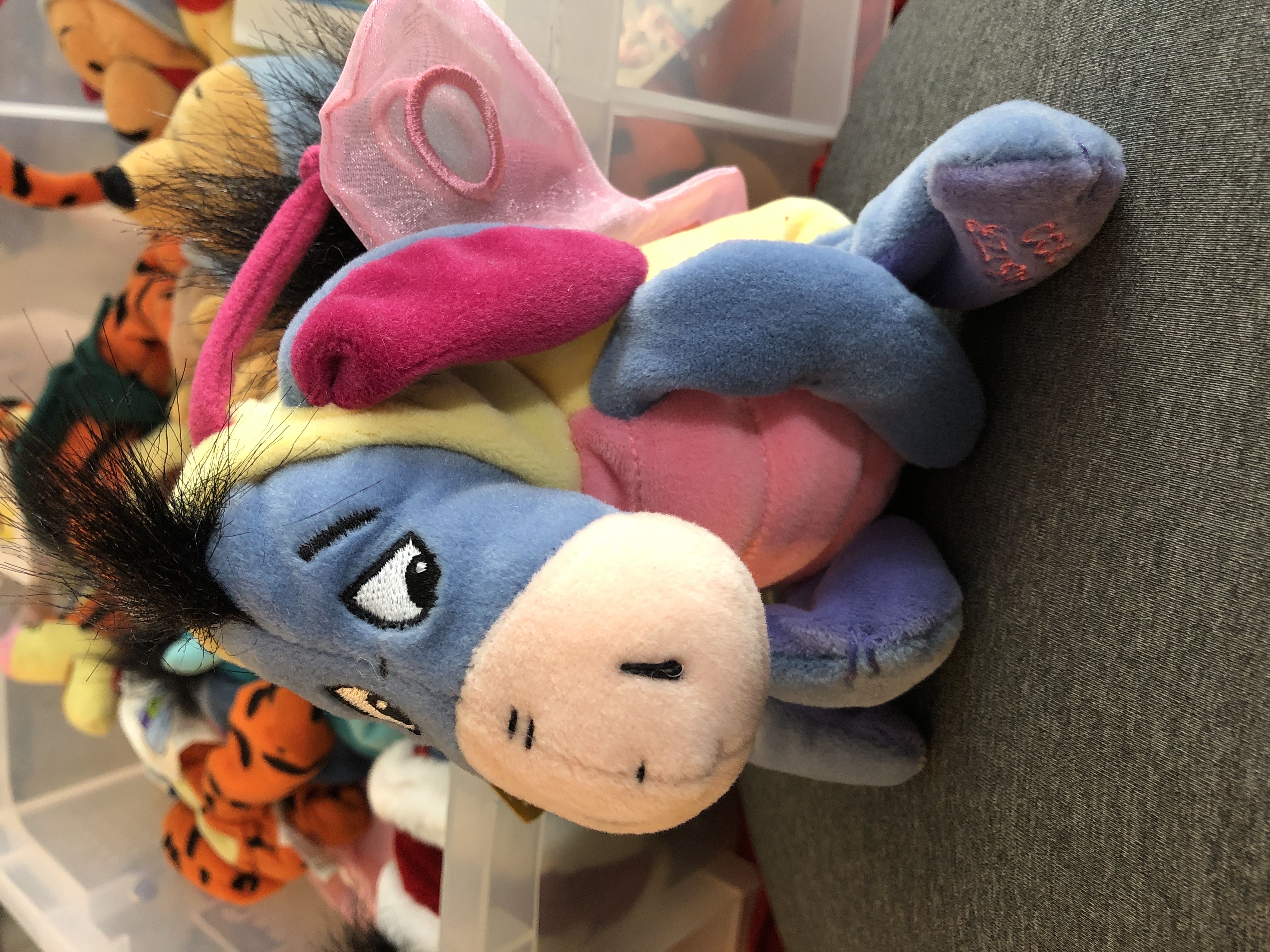 Rainbow Dash 4th Dimension