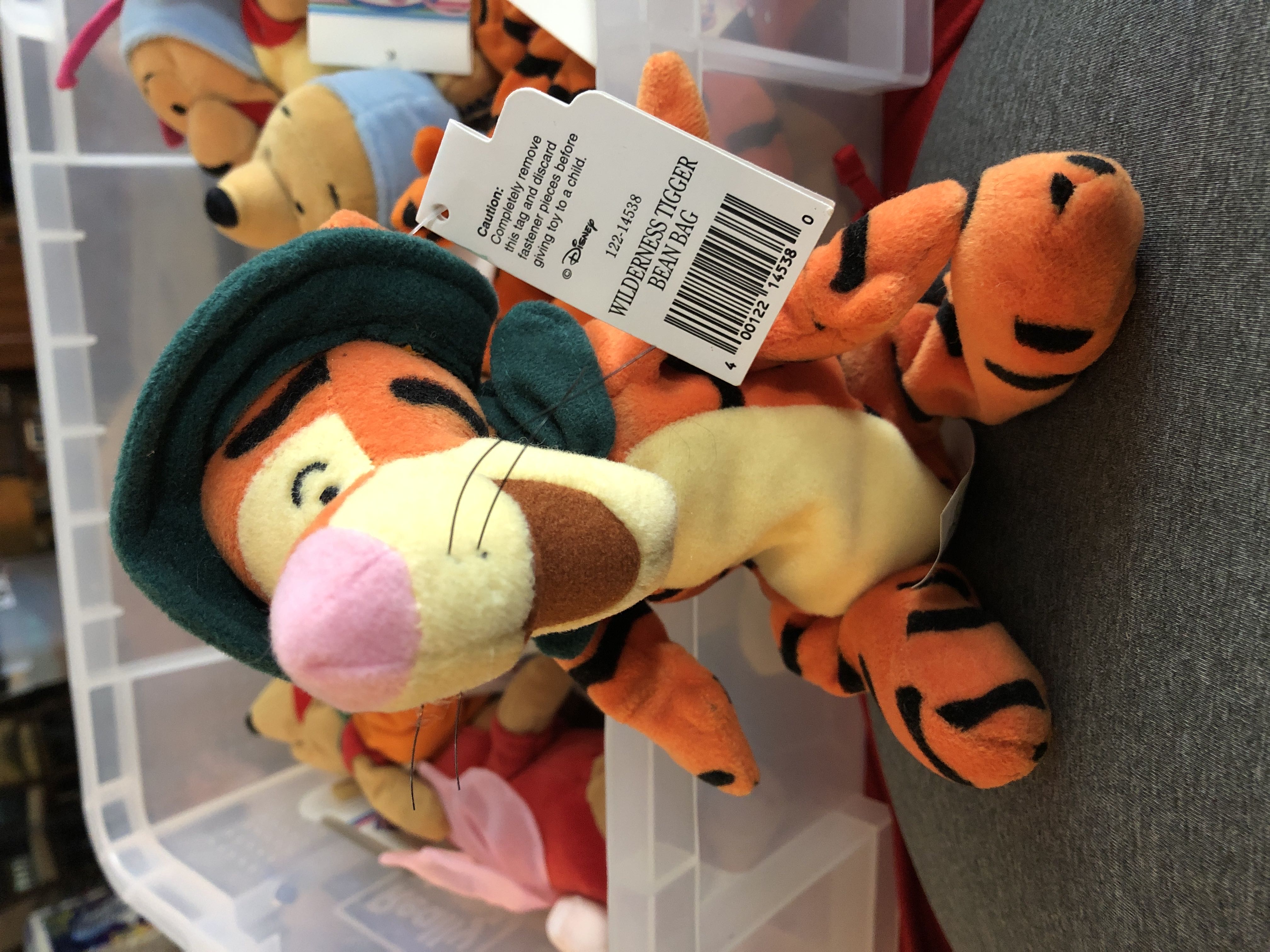 Washington the bunny