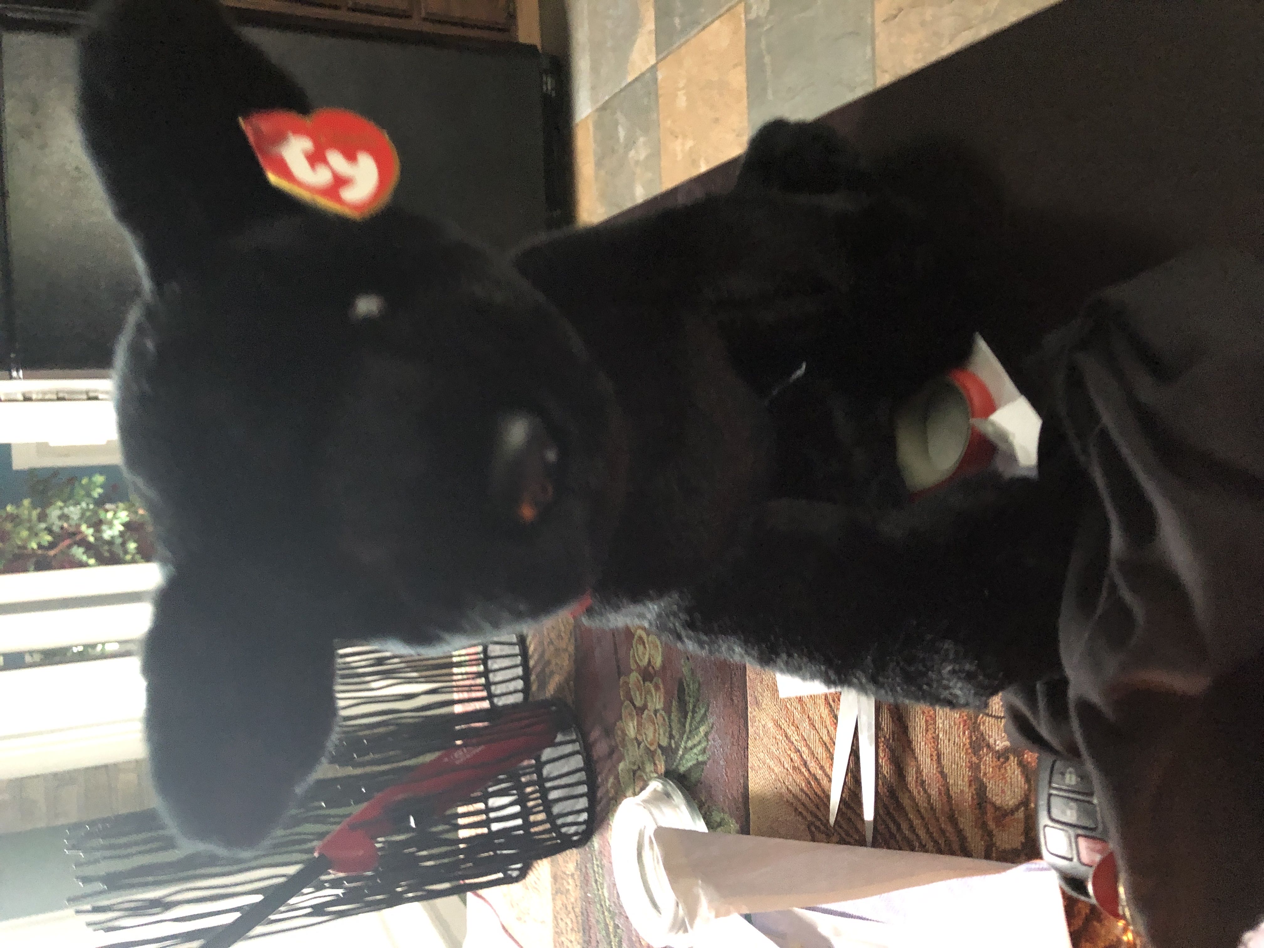 Black Panther - Marvel