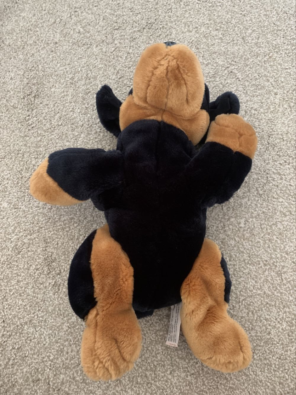 Rottweiller Simply Soft Collection By Keel Toys  plush collectible - Main Image 3