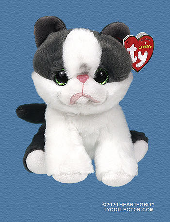 Divalectable the chihuahua