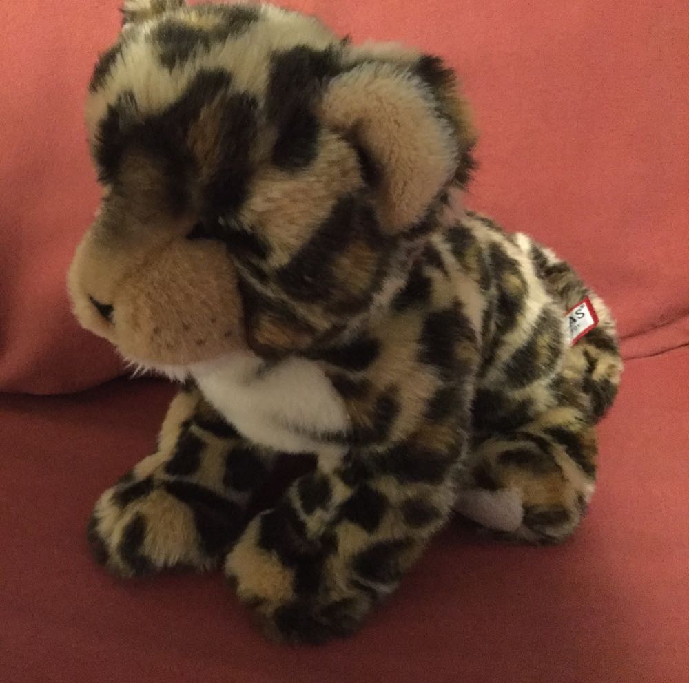 Webkinz Patchy Puppy