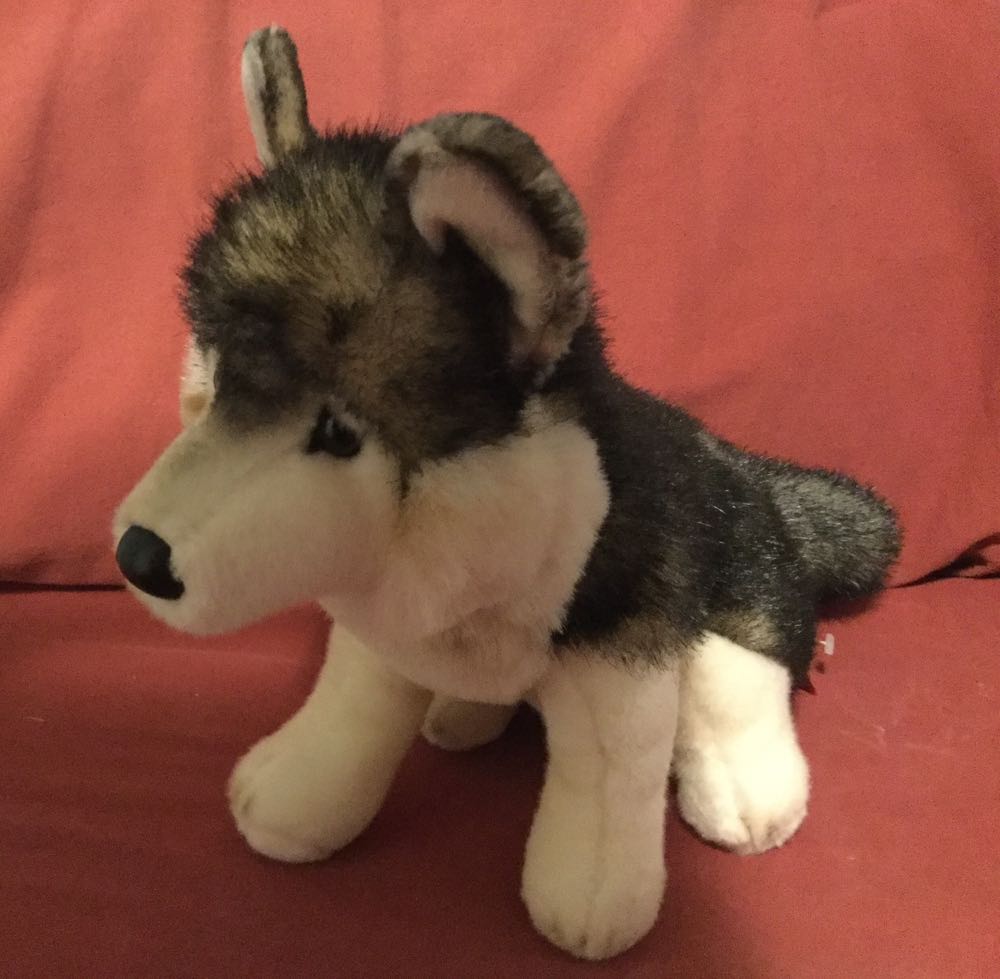 Polar Bear In T-Shirt