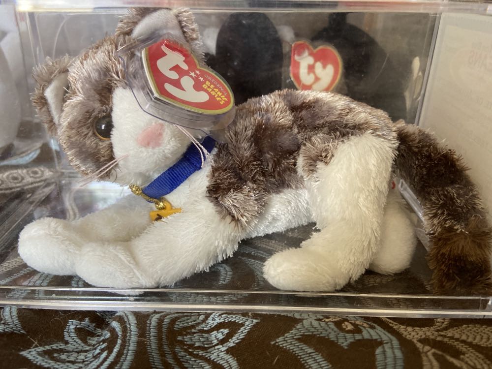 Zelda The Witch BBM 2