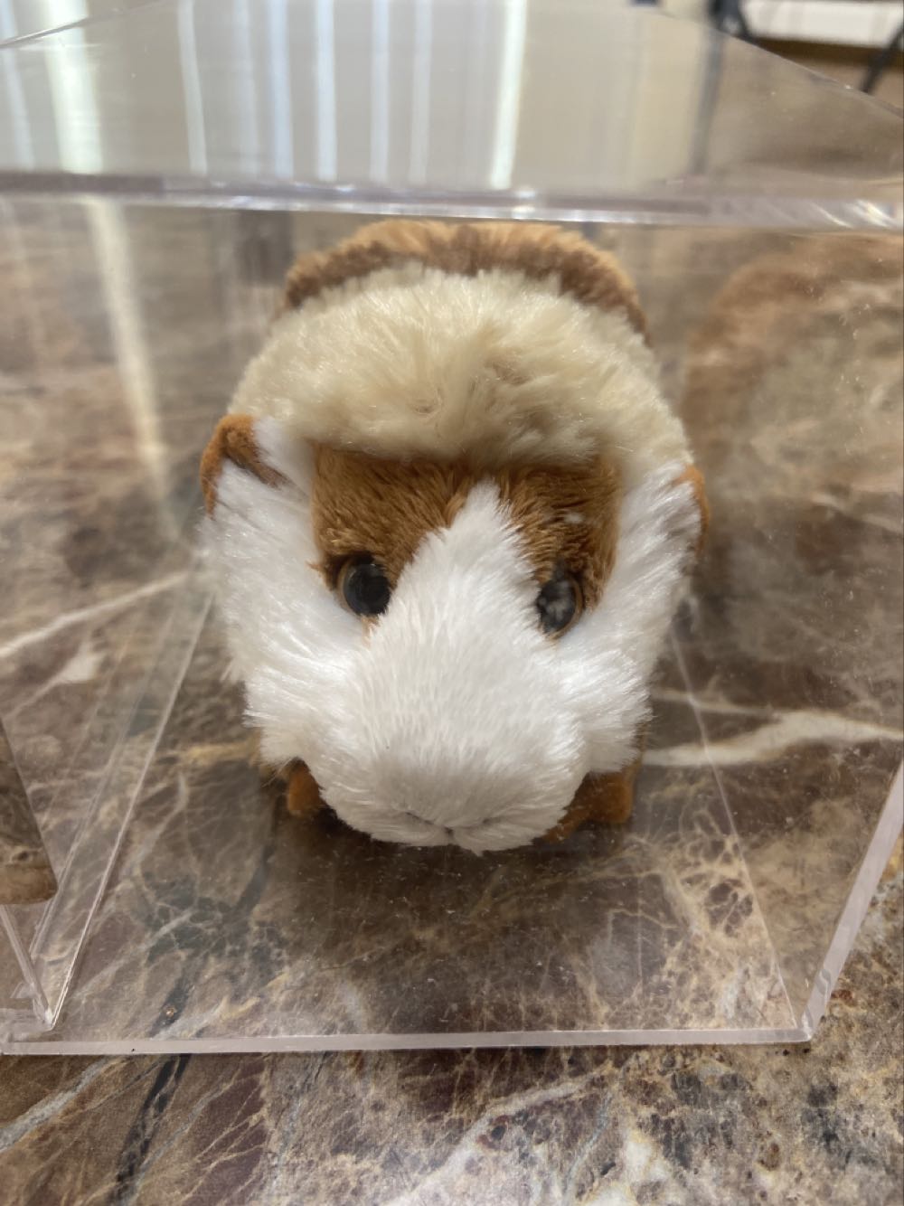 Official Pokemon 8” Pikachu