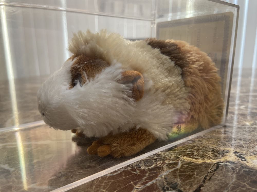 Guinea pig white, beige, brown, Tan Prototype  (United States) plush collectible - Main Image 2