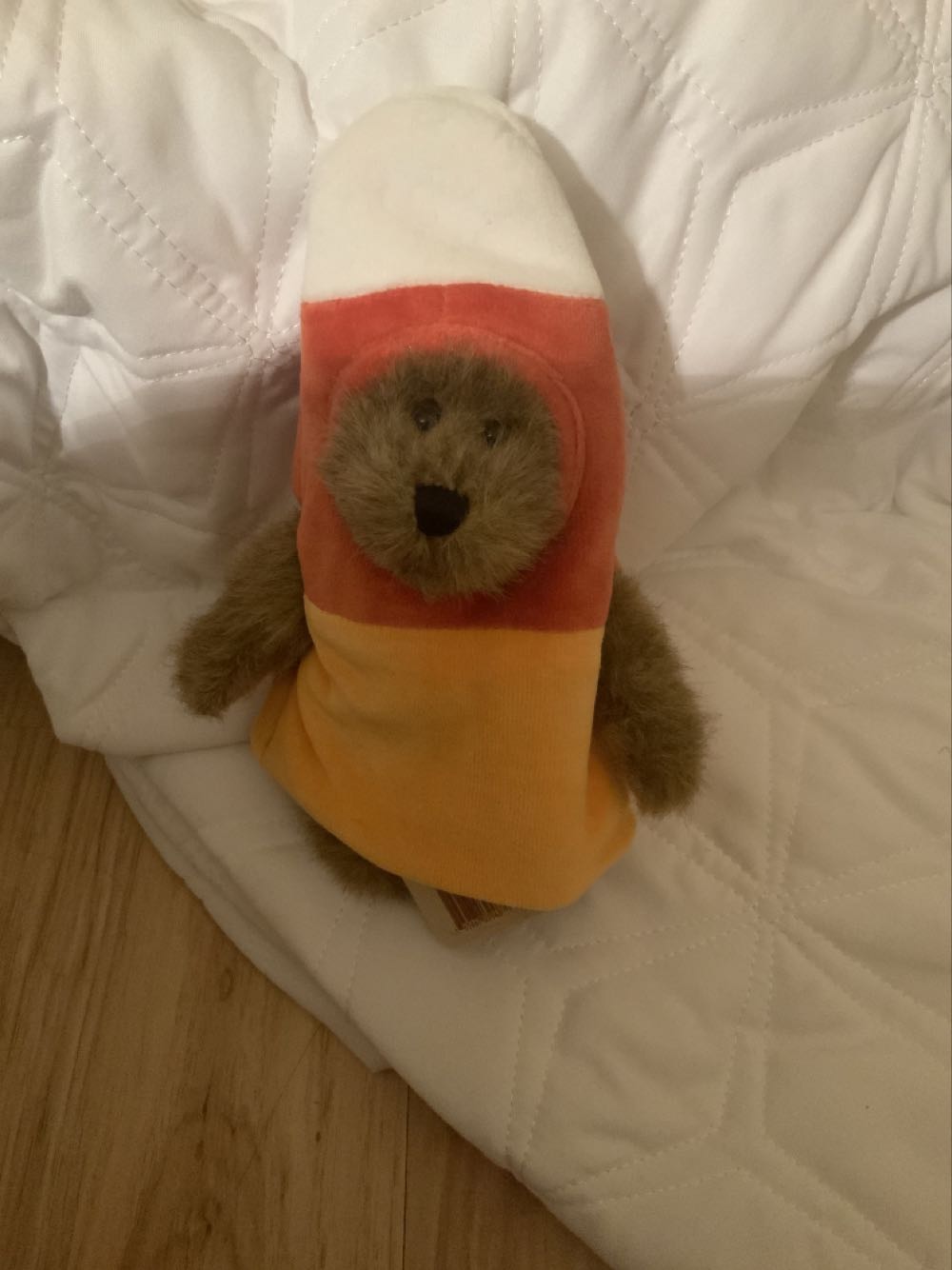 M.C. Anniversary 7th Edition