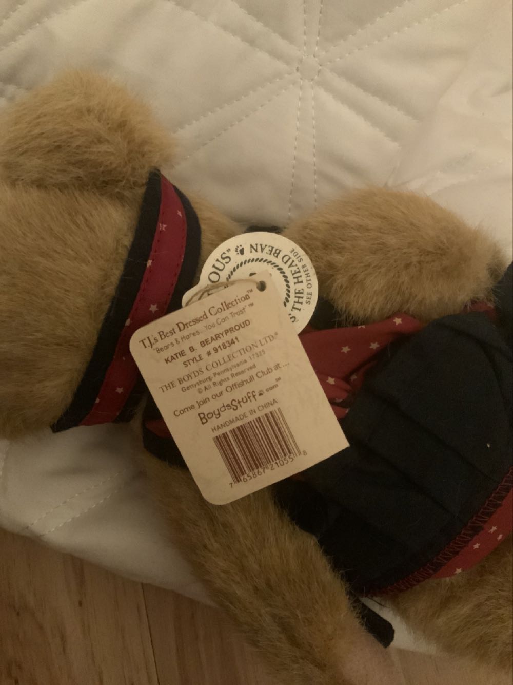 Katie B. Bearyproud  plush collectible - Main Image 2