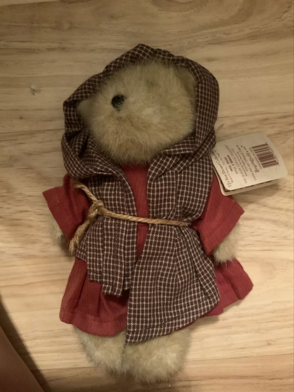 Violet & (and) Petals