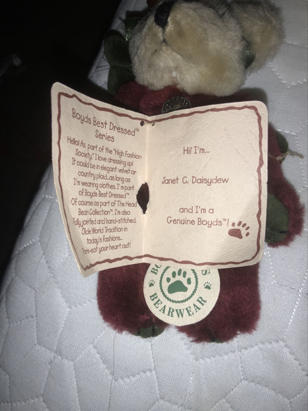 Janet C. Daisydew  plush collectible - Main Image 2