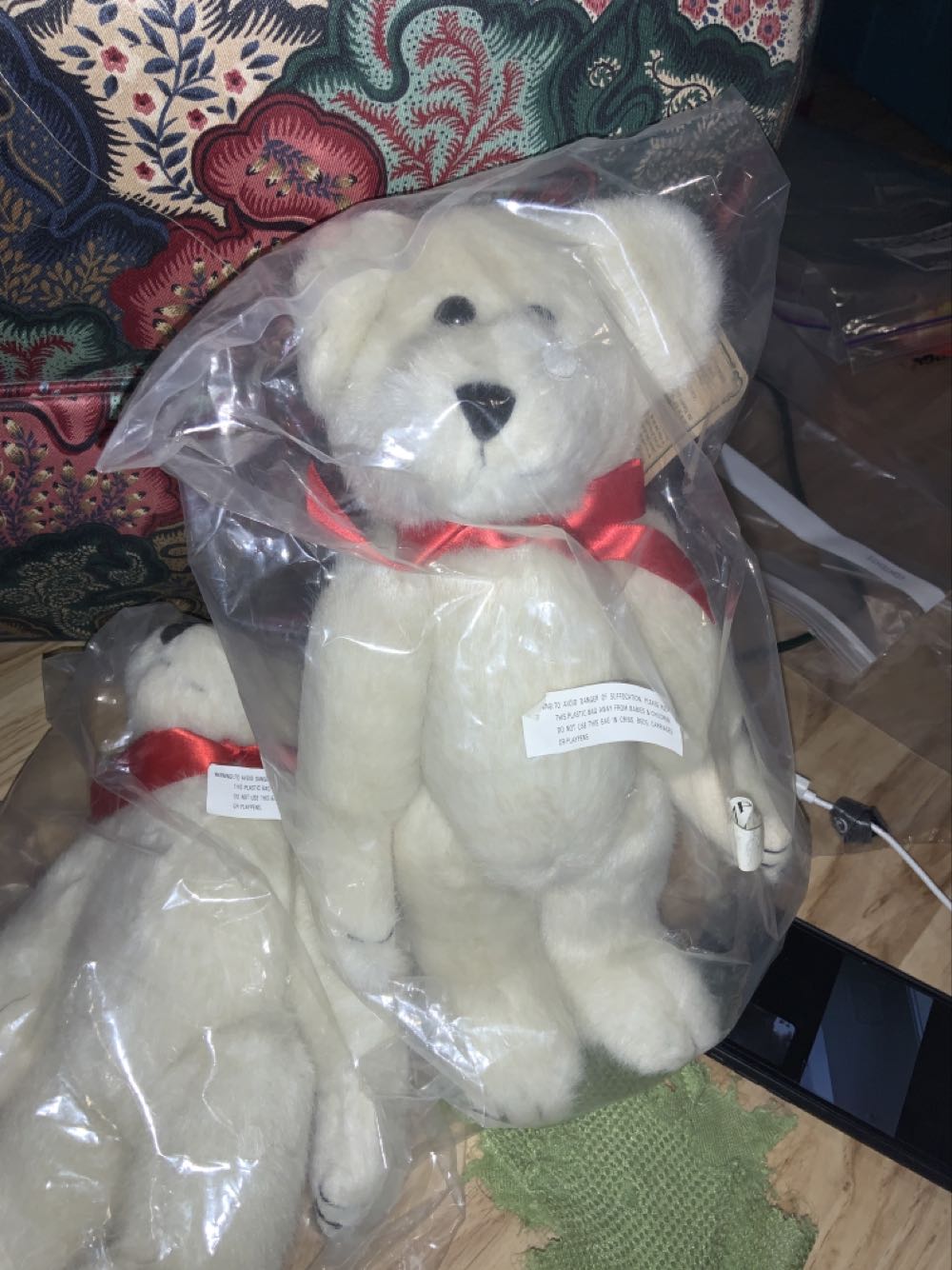 Valentino Astro Authenticated