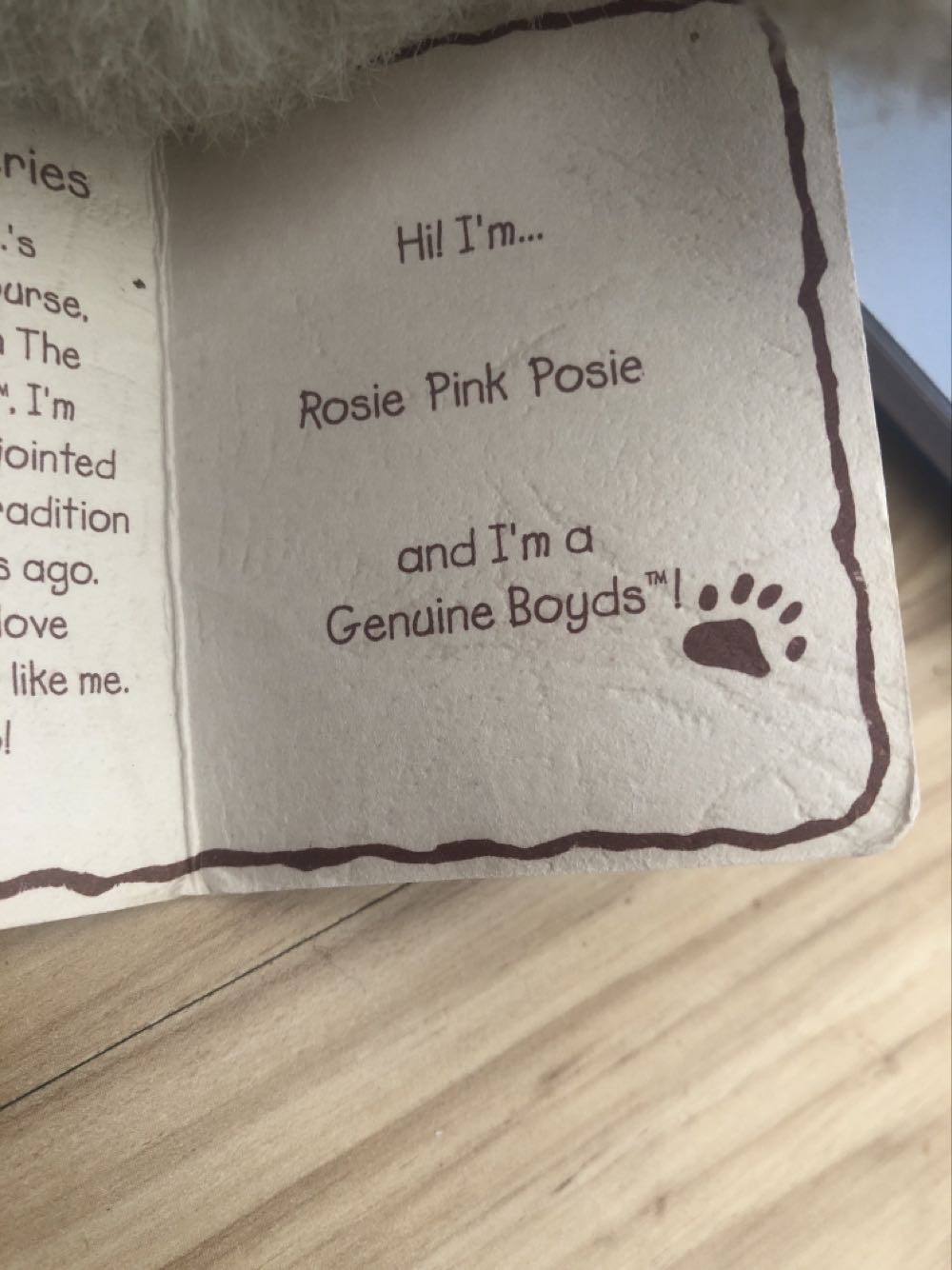 Rosie Pink Posie  plush collectible - Main Image 3