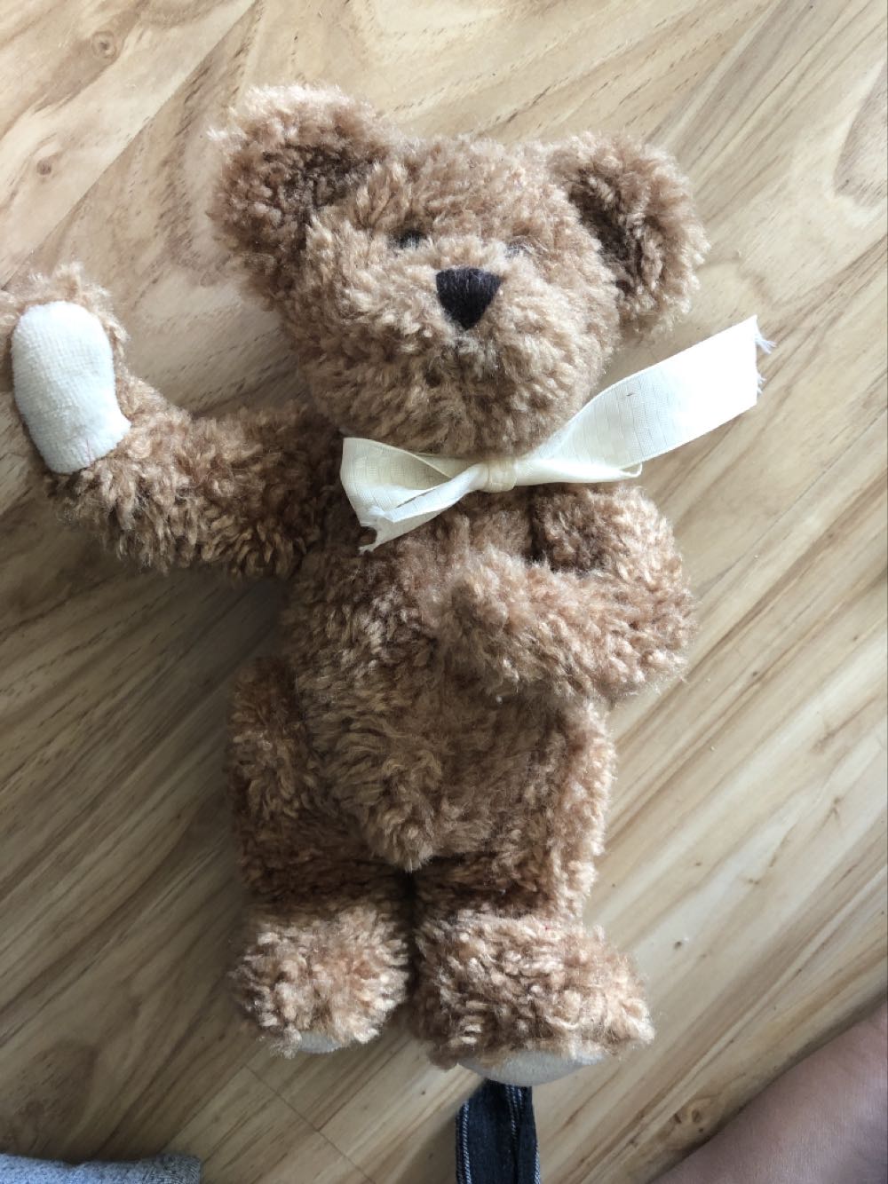 Pinky The Triangle Bear