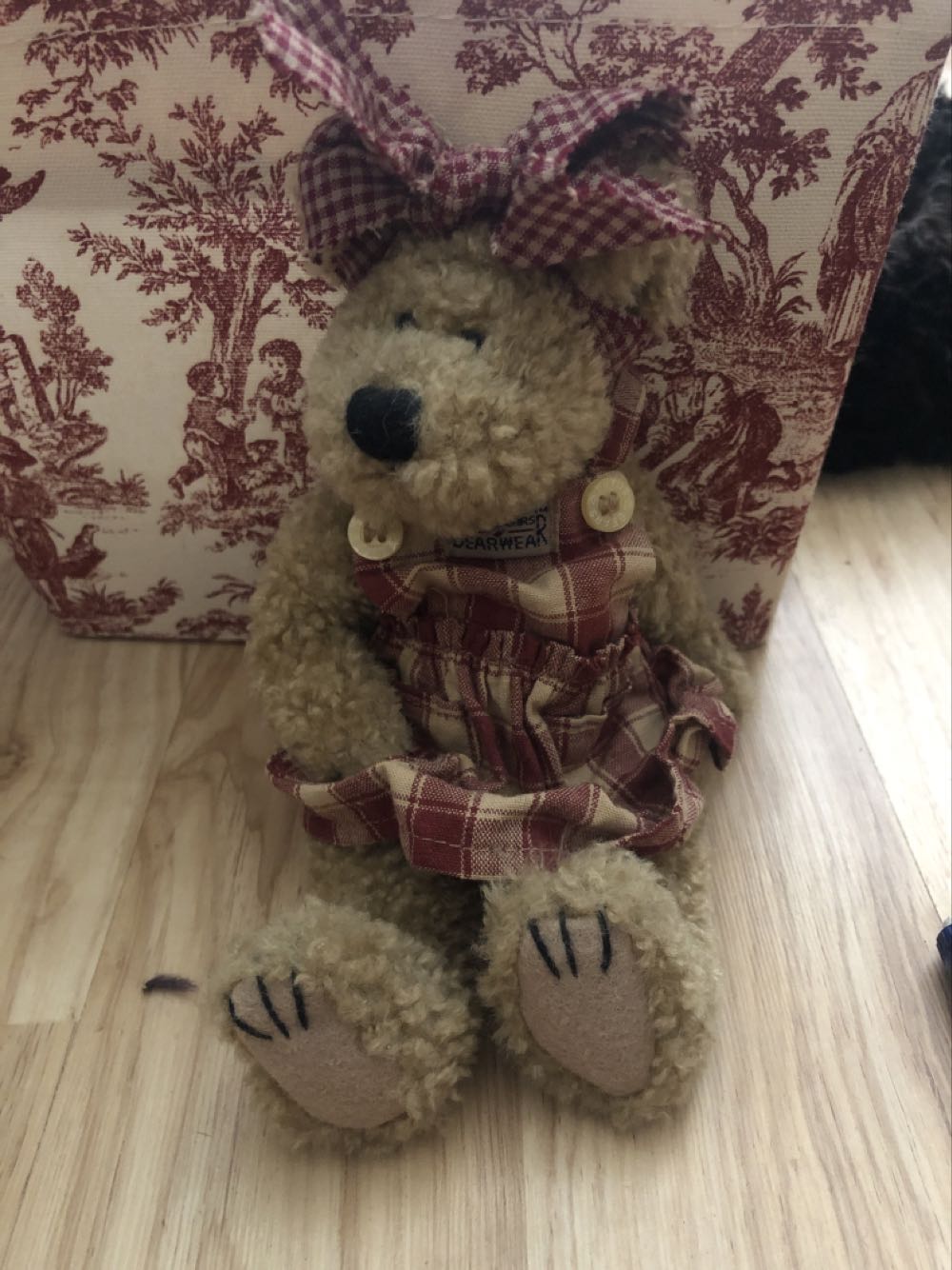 Mardi The Rainbow Bear