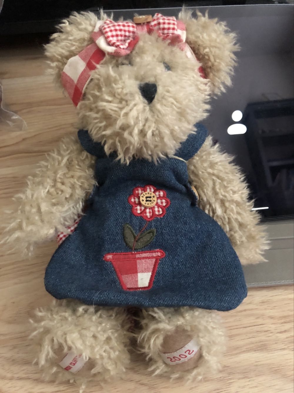 Millenium Commemorative Card