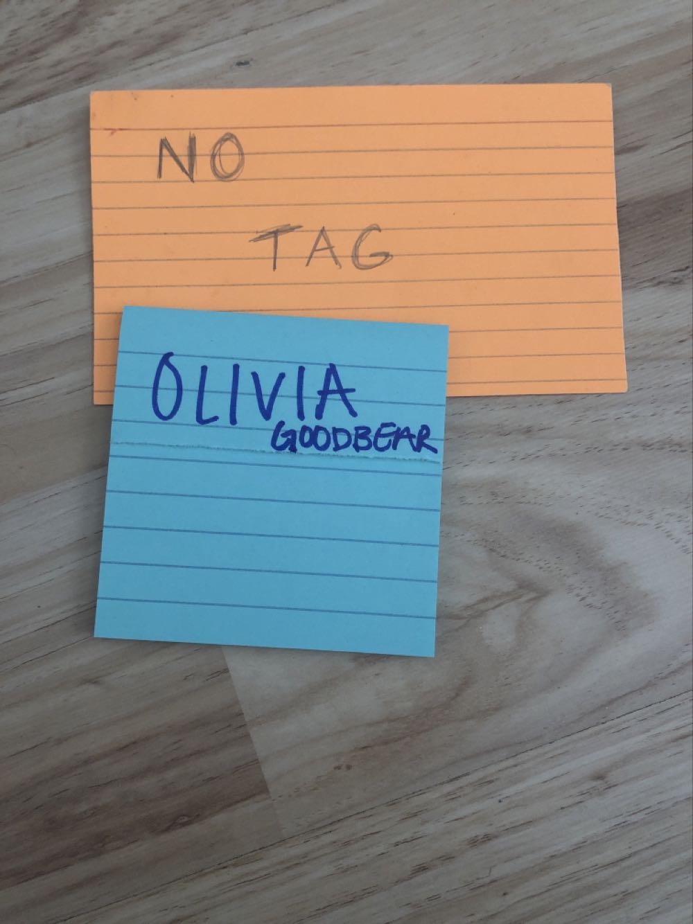 Olivia Goodbear  plush collectible - Main Image 2