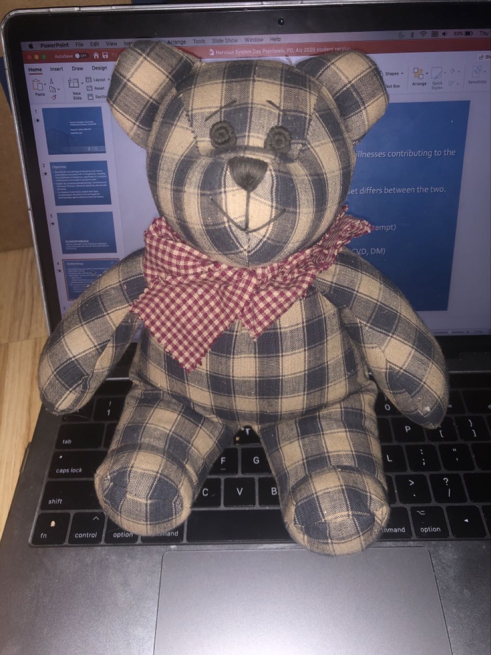 Peace The Bear Orange Pajama