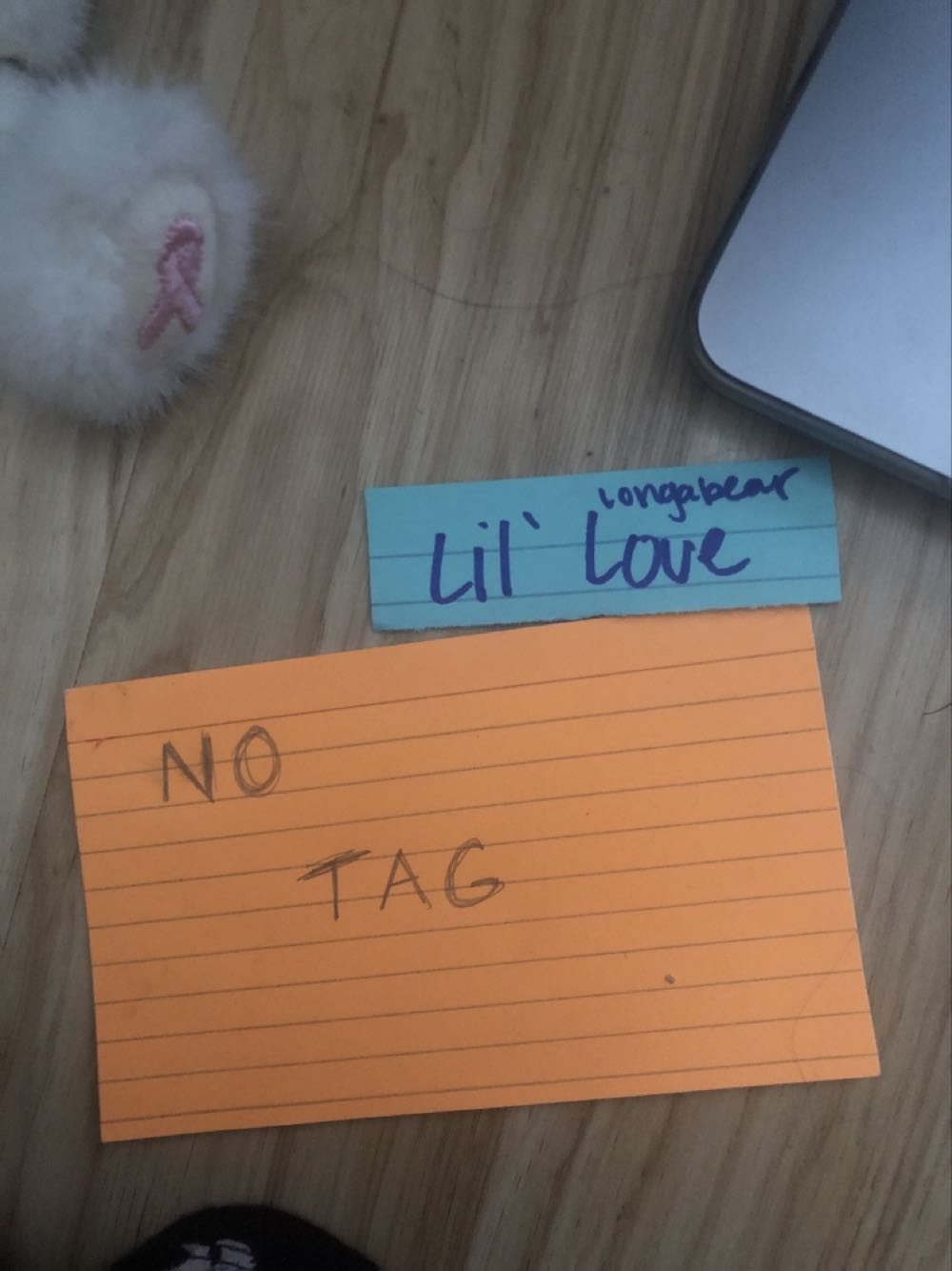 Lil’ Love Longabear   plush collectible - Main Image 2