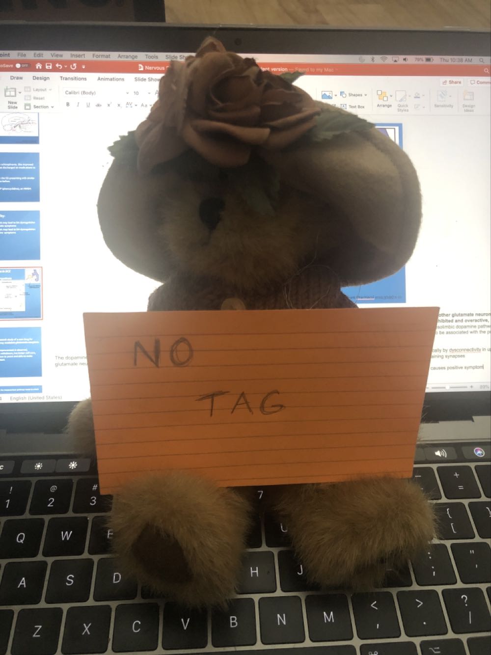 NO NAME  plush collectible - Main Image 2