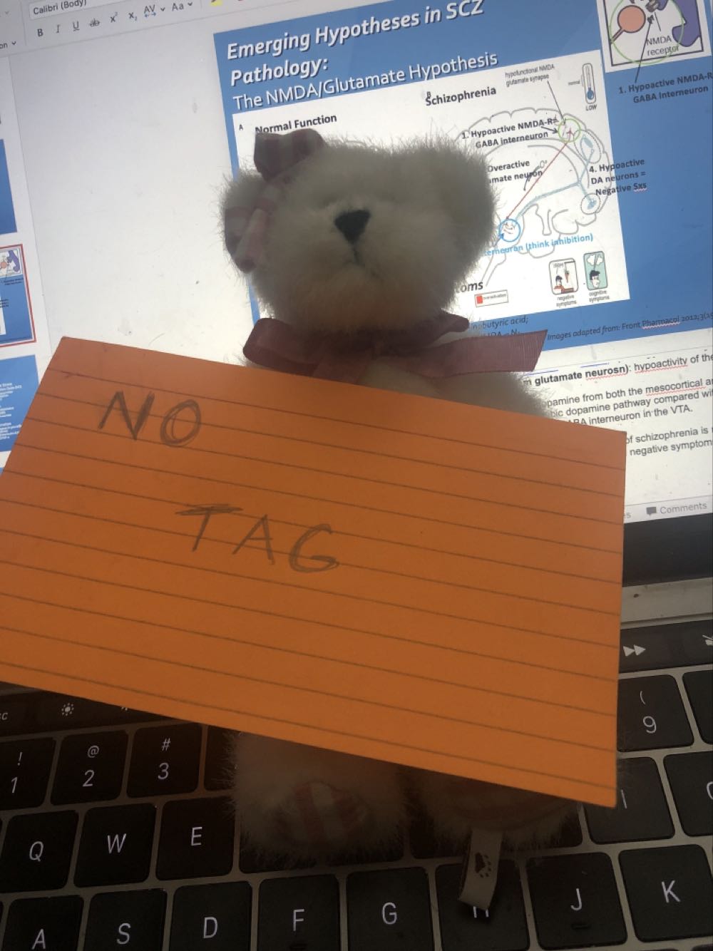 NO NAME  plush collectible - Main Image 2