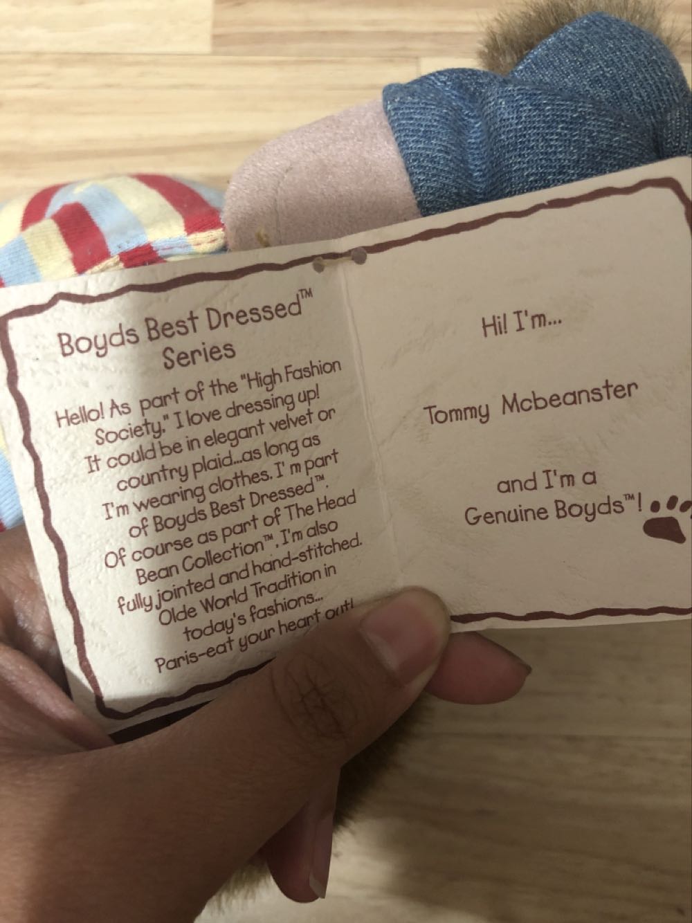 Tommy Mcbeanster  plush collectible - Main Image 2