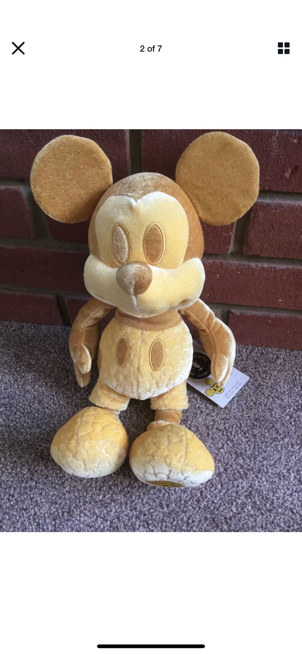 Champion FIFA Bear (Tunisia)