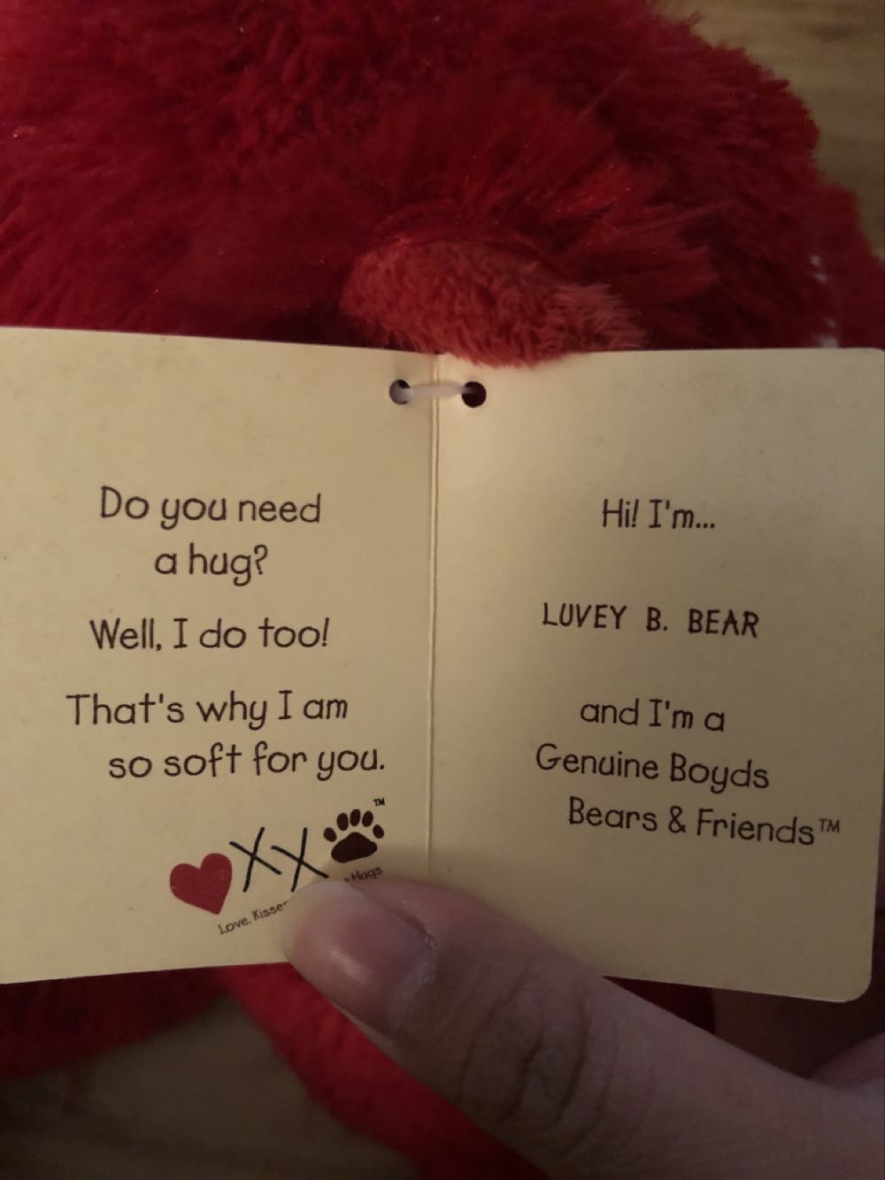 Luvey B. Bear  plush collectible - Main Image 2