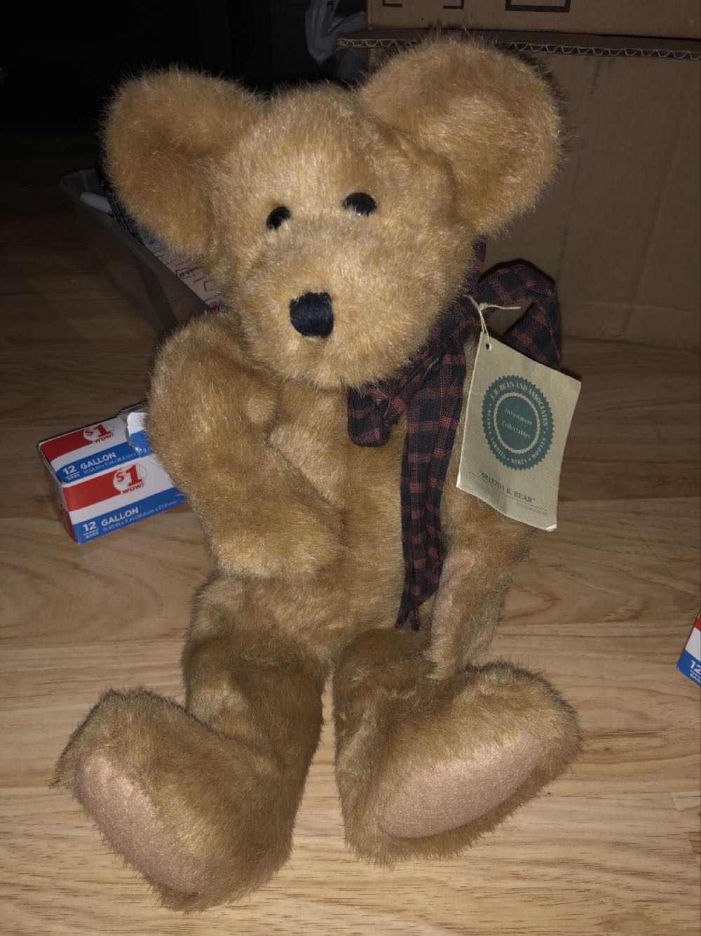 Ty Kiki (Beanie Boo Mask)