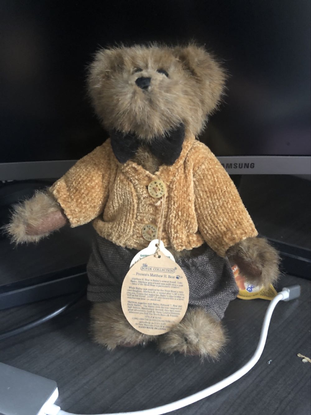 Champion FIFA Bear (Tunisia)