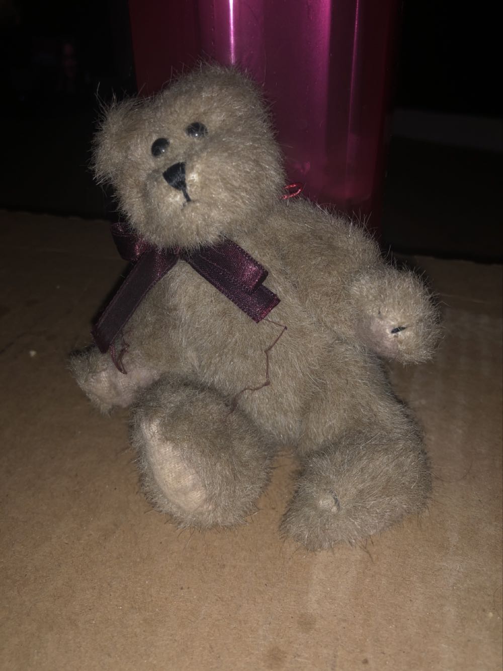 Norbert The Norweigen Ridgeback