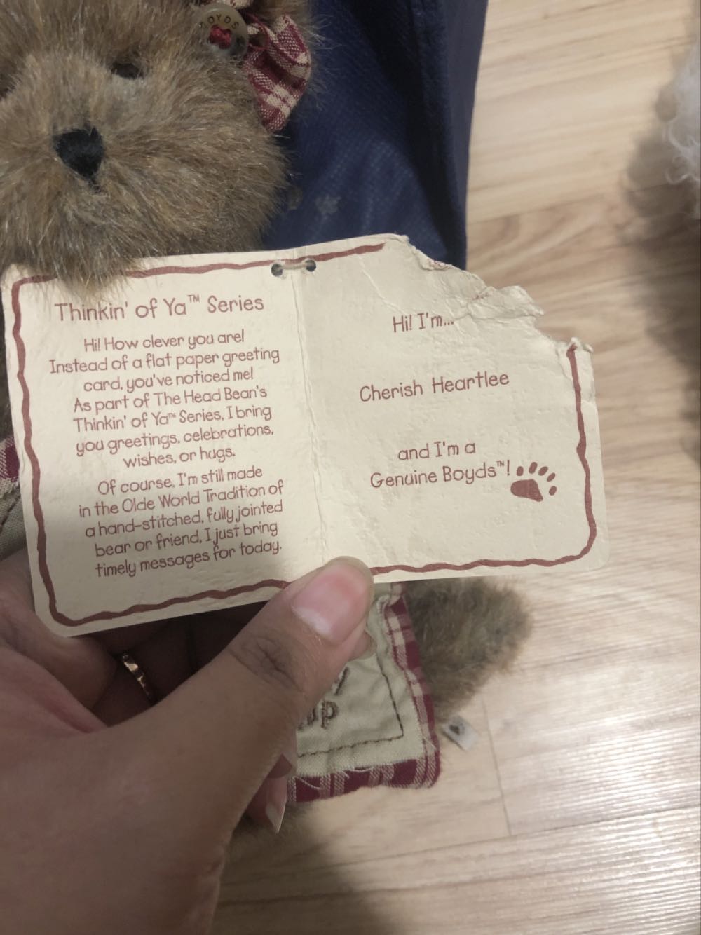 Cherish Heartlee  plush collectible - Main Image 2