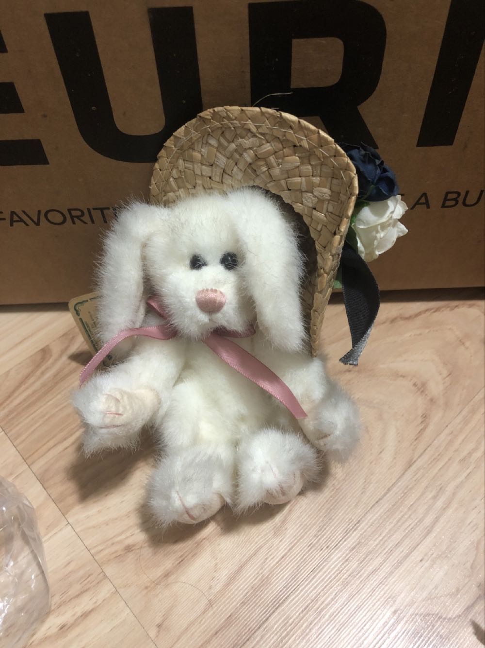 Blizzard Sports commemorative