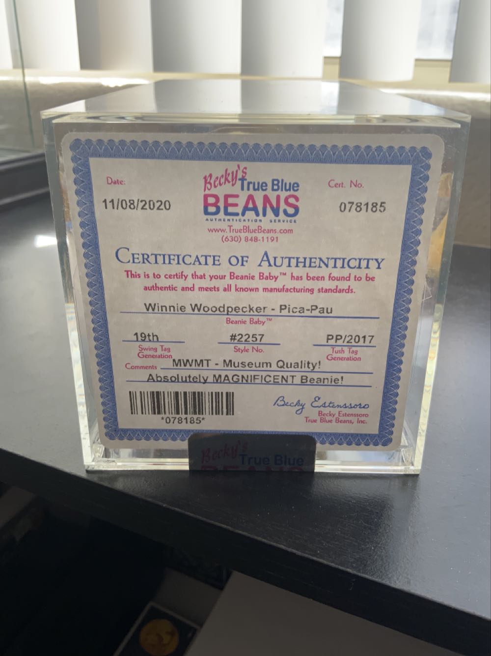 Winnie WoodPecker  (United States) plush collectible - Main Image 3