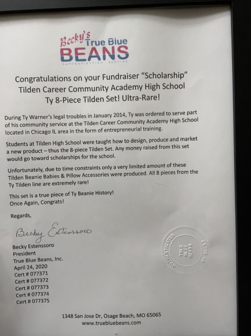 Tilden High School Football  (United States) plush collectible - Main Image 2