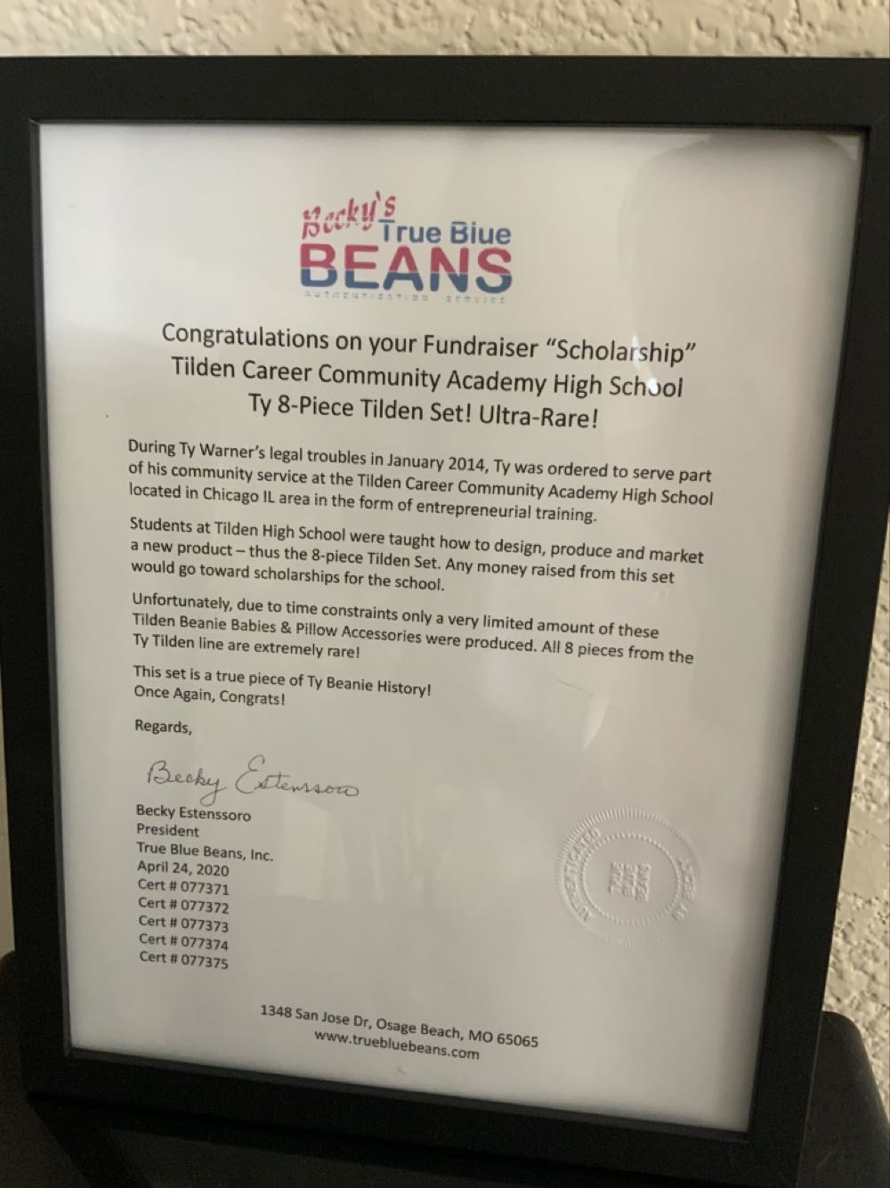 Tilden High School Round Pillow  (United States) plush collectible - Main Image 2