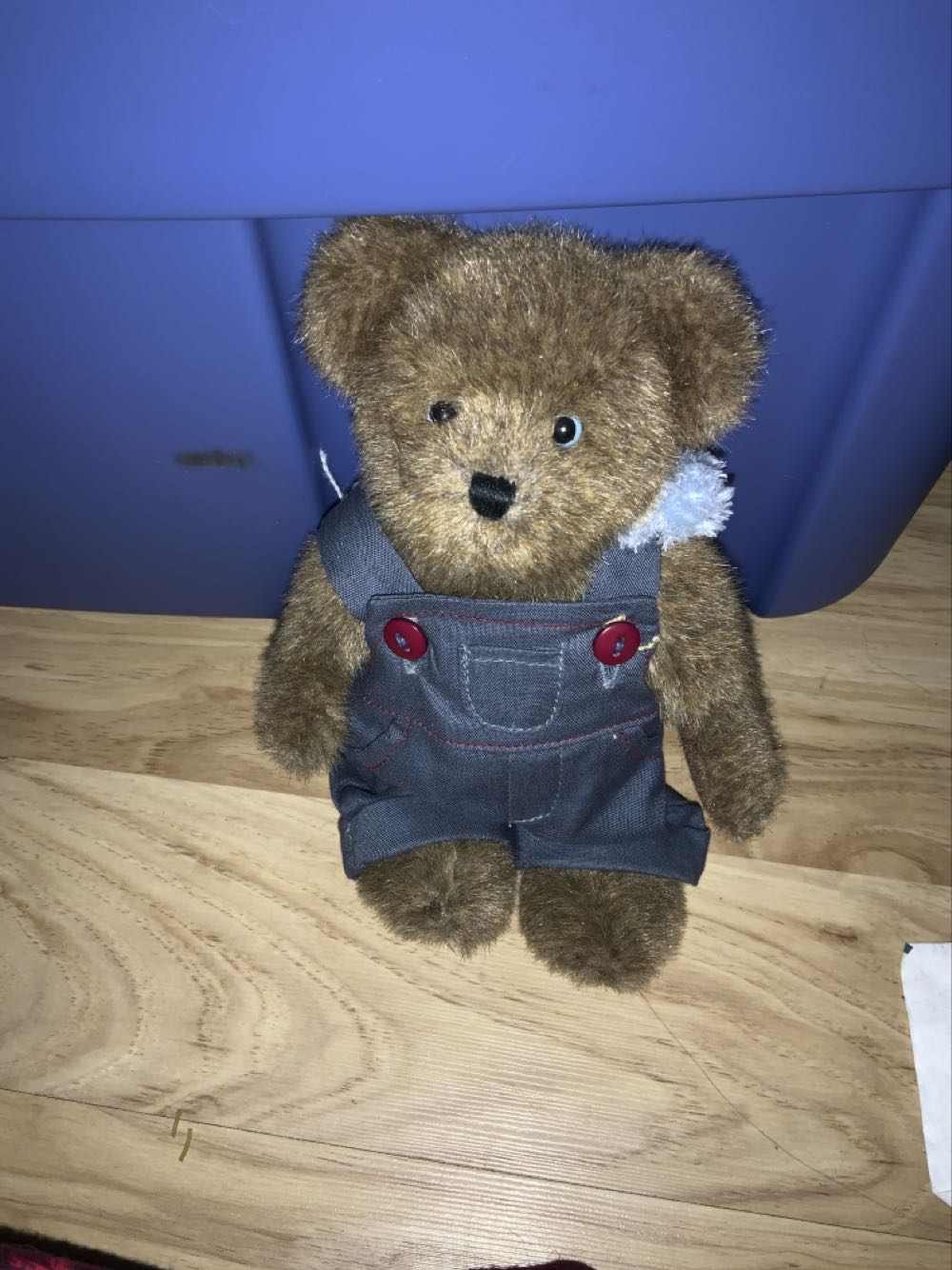 Ty Pellie (Claire’s exclusive, medium)  