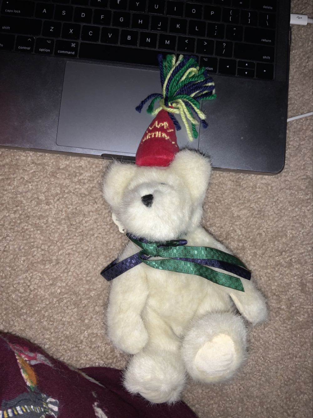 Einstein Q. Scaredybear