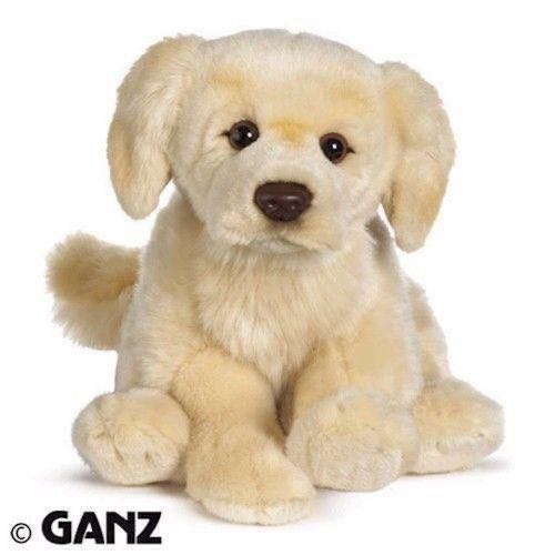 Tys Tenny Chaser IX Brazil