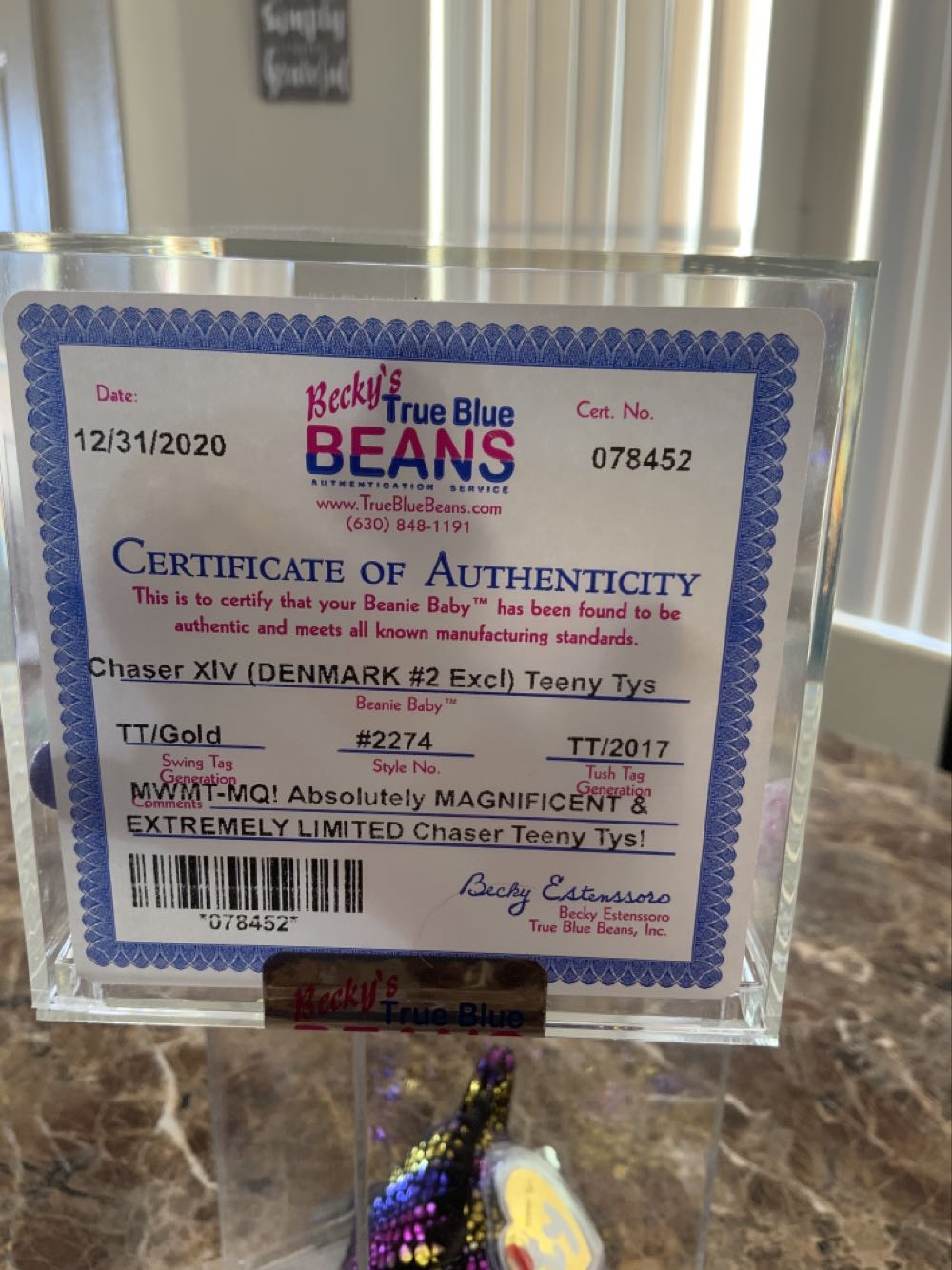 Tys Teeny Chaser XIV Denmark  (United States) plush collectible - Main Image 2