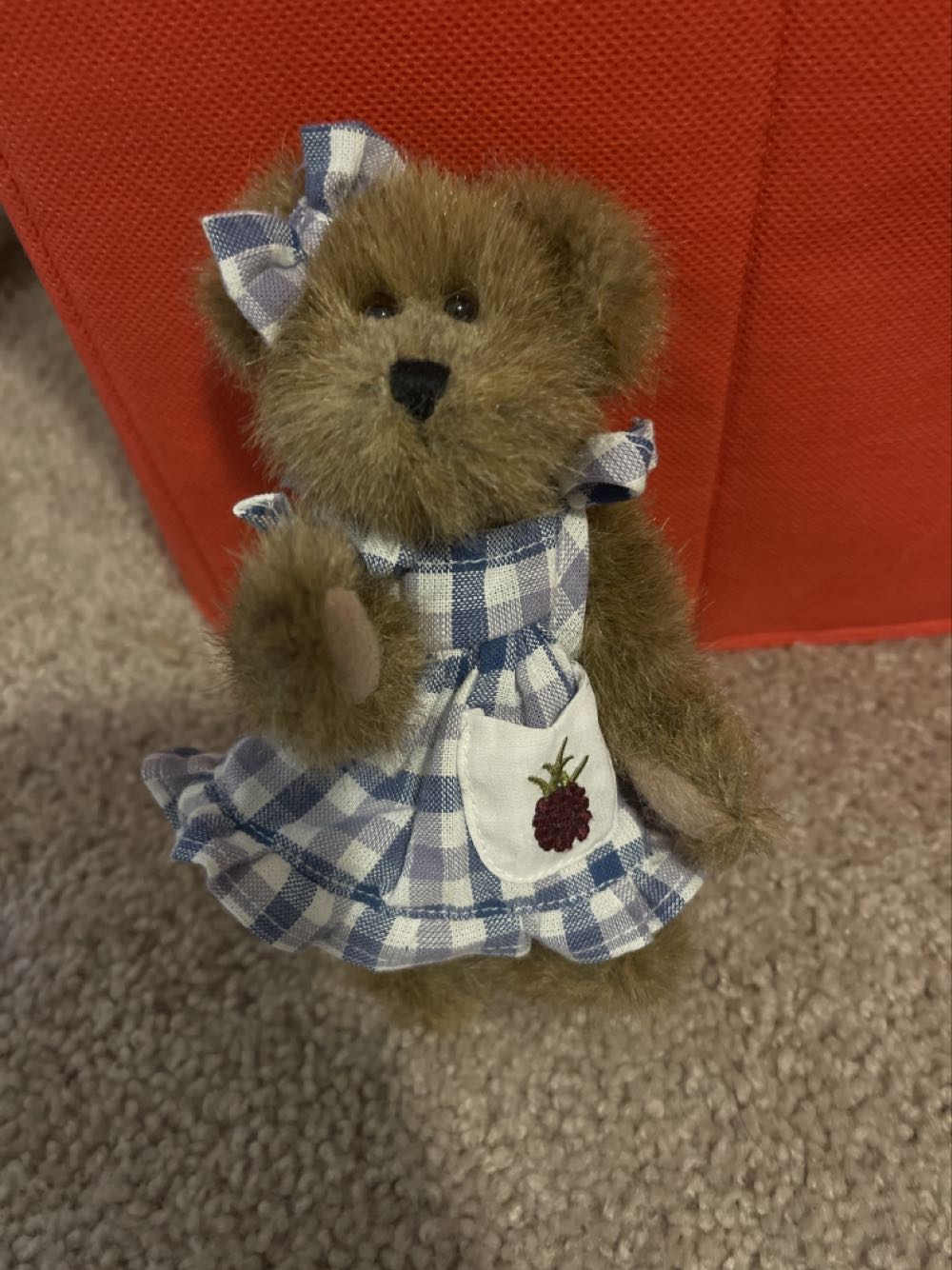 Champion FIFA Bear (United States)