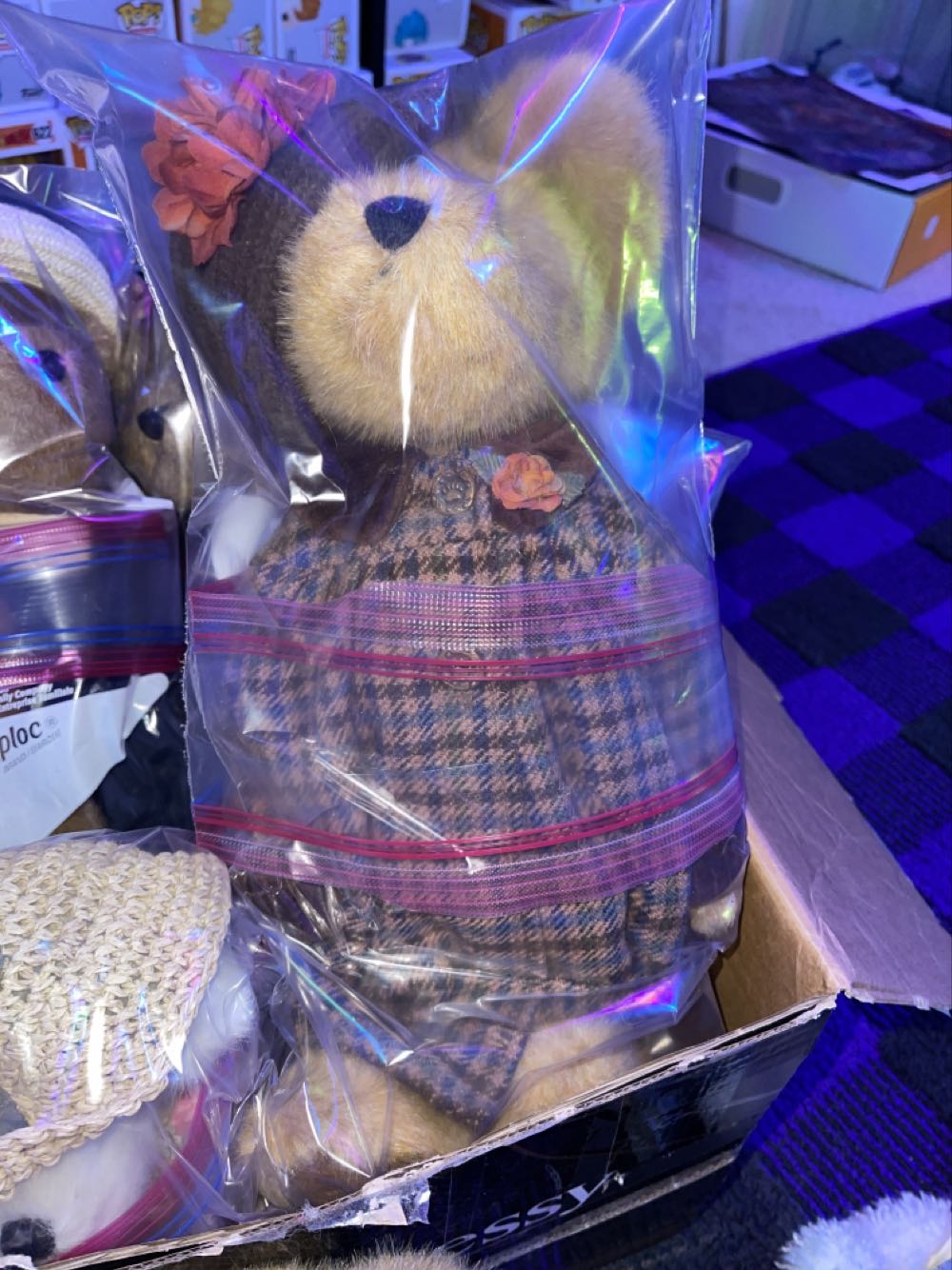 Bumbershoot B. Jodi Bear (medium)